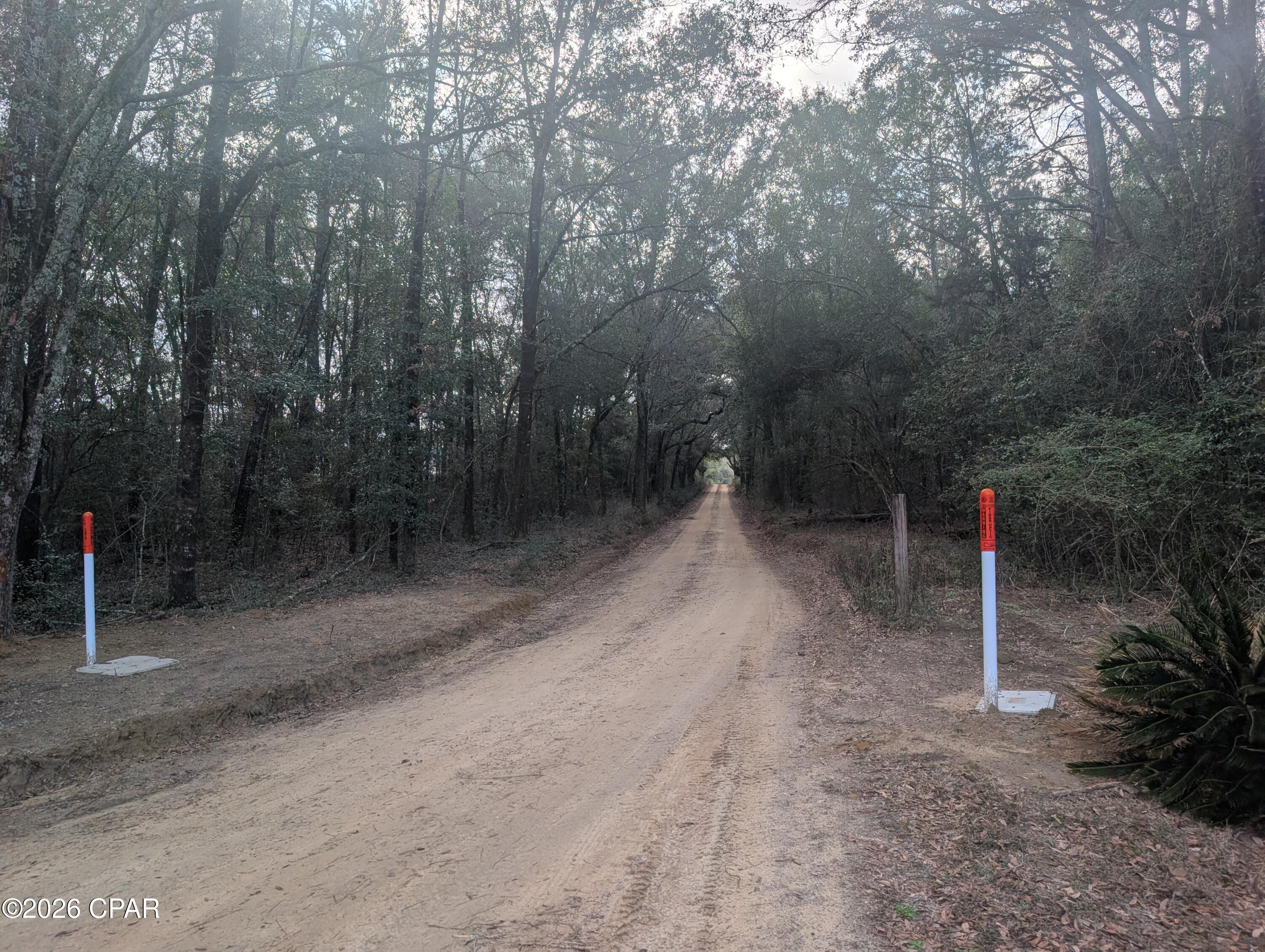 Image 44 For 1900 Olive Lane