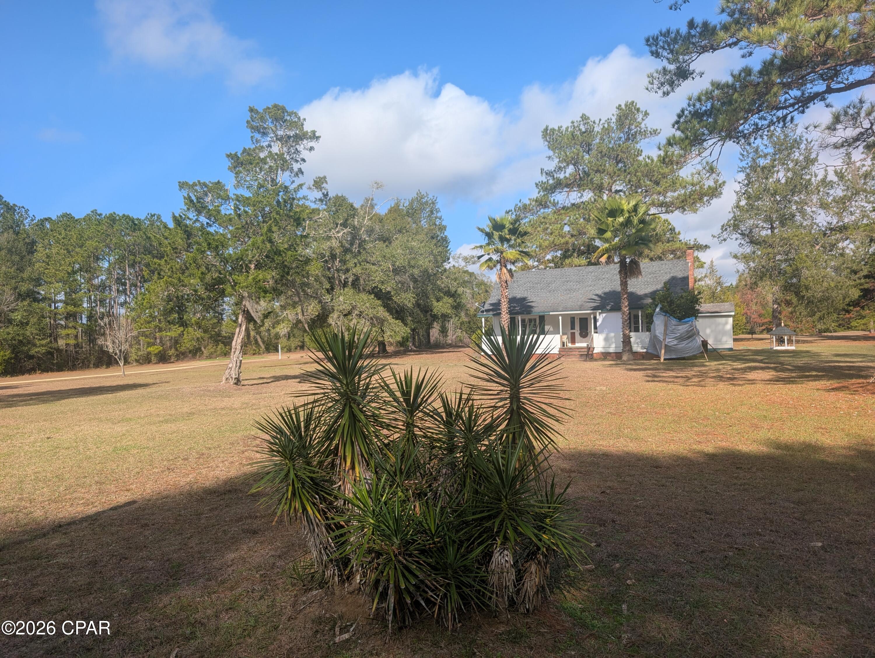 Image 46 For 1900 Olive Lane