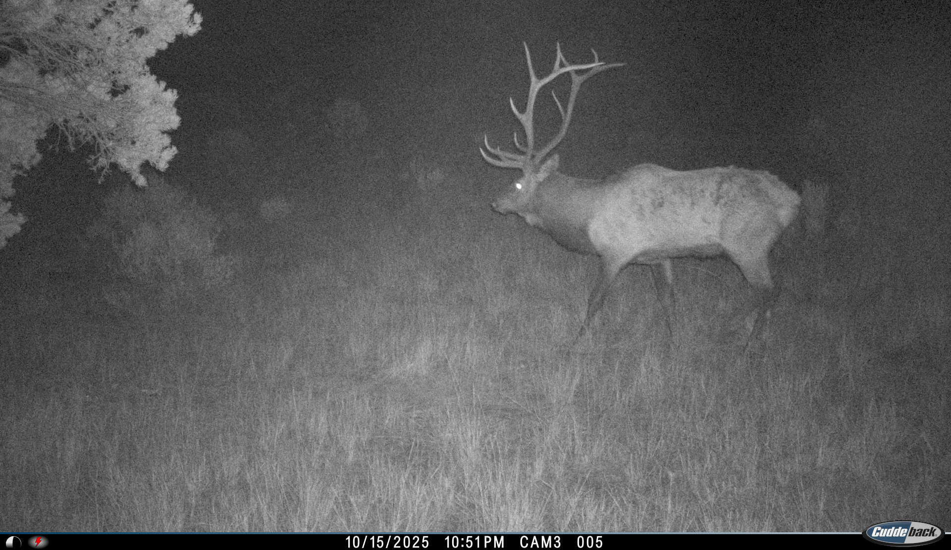 Homes for sale in Tierra Amarilla, NM | S And W Ranch, Tierra Amarilla, NM 87575 | MLS# 1096470