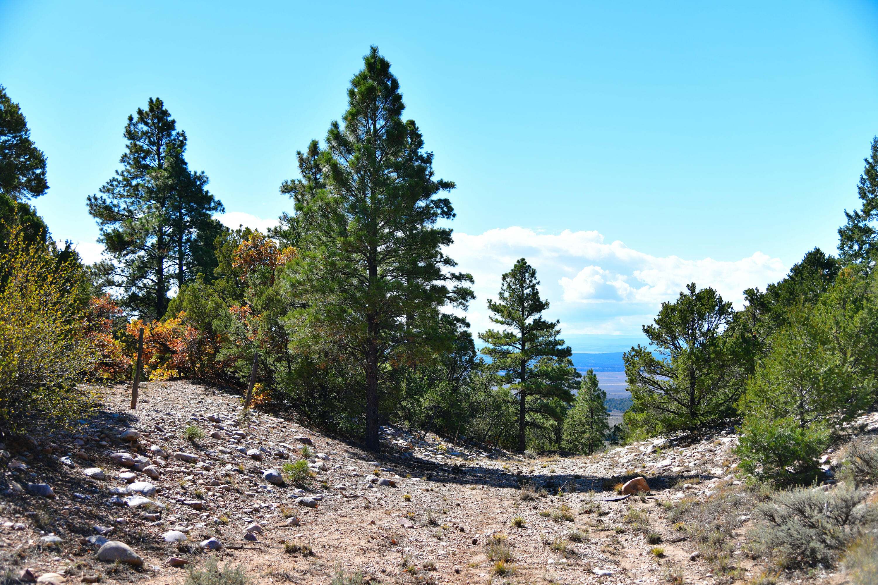 Homes for sale in Tierra Amarilla, NM | S And W Ranch, Tierra Amarilla, NM 87575 | MLS# 1096470