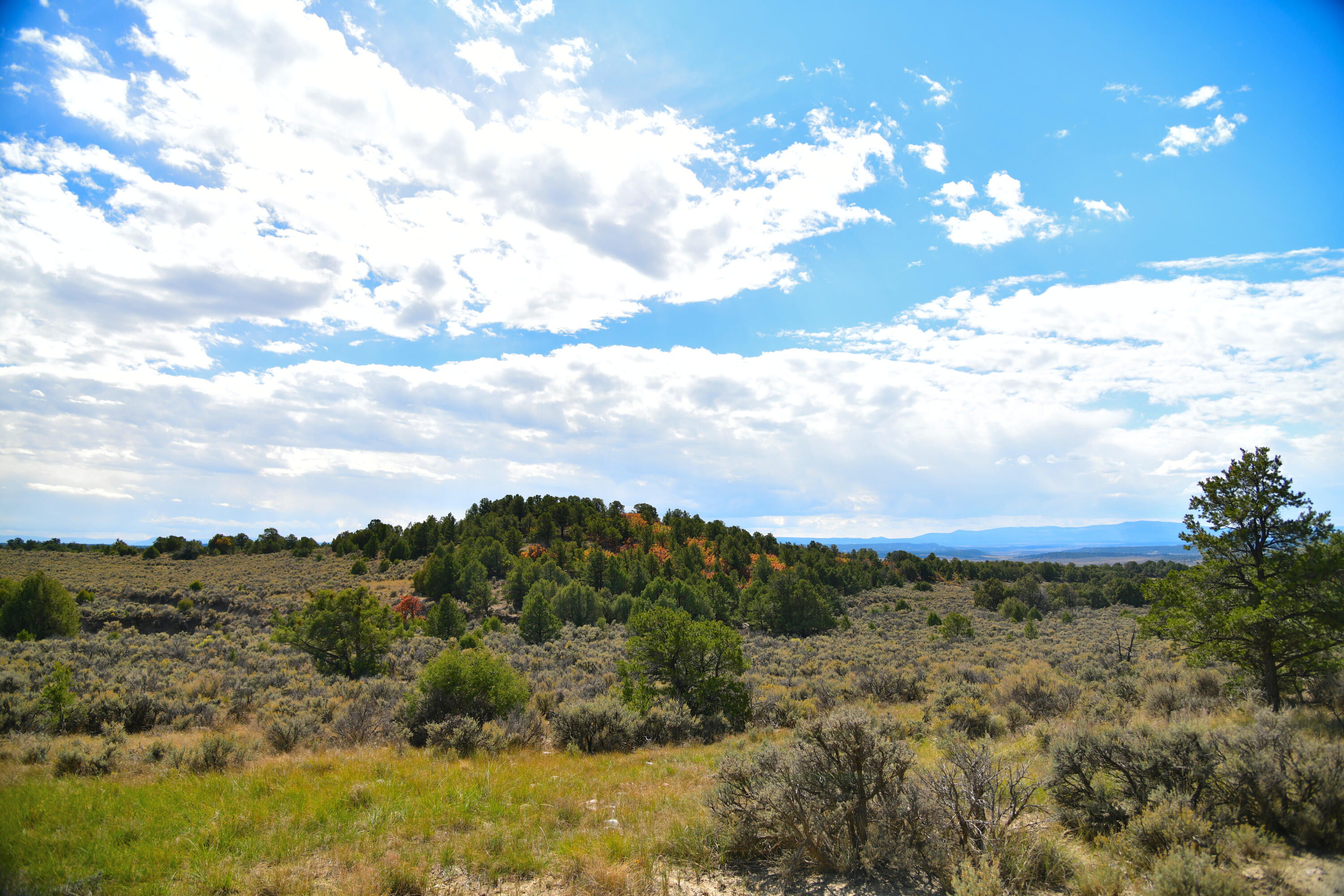 Homes for sale in Tierra Amarilla, NM | S And W Ranch, Tierra Amarilla, NM 87575 | MLS# 1096470