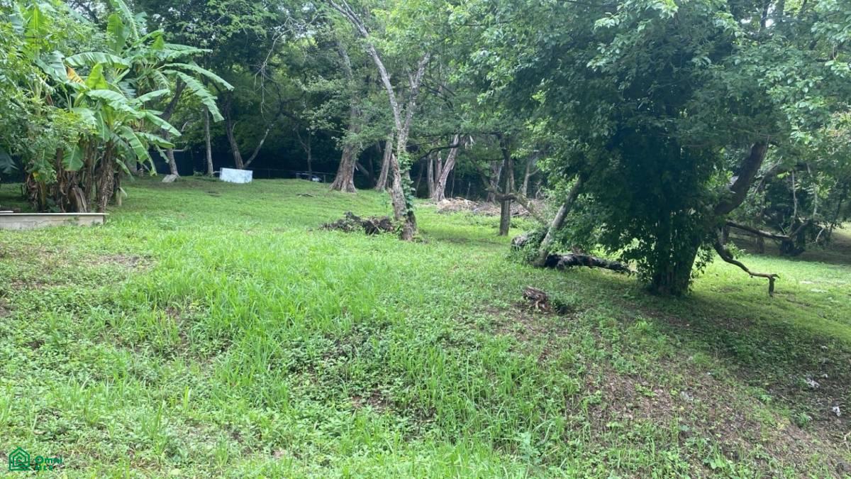 0 bed Land For Sale in Santa Cruz, Guanacaste - 1