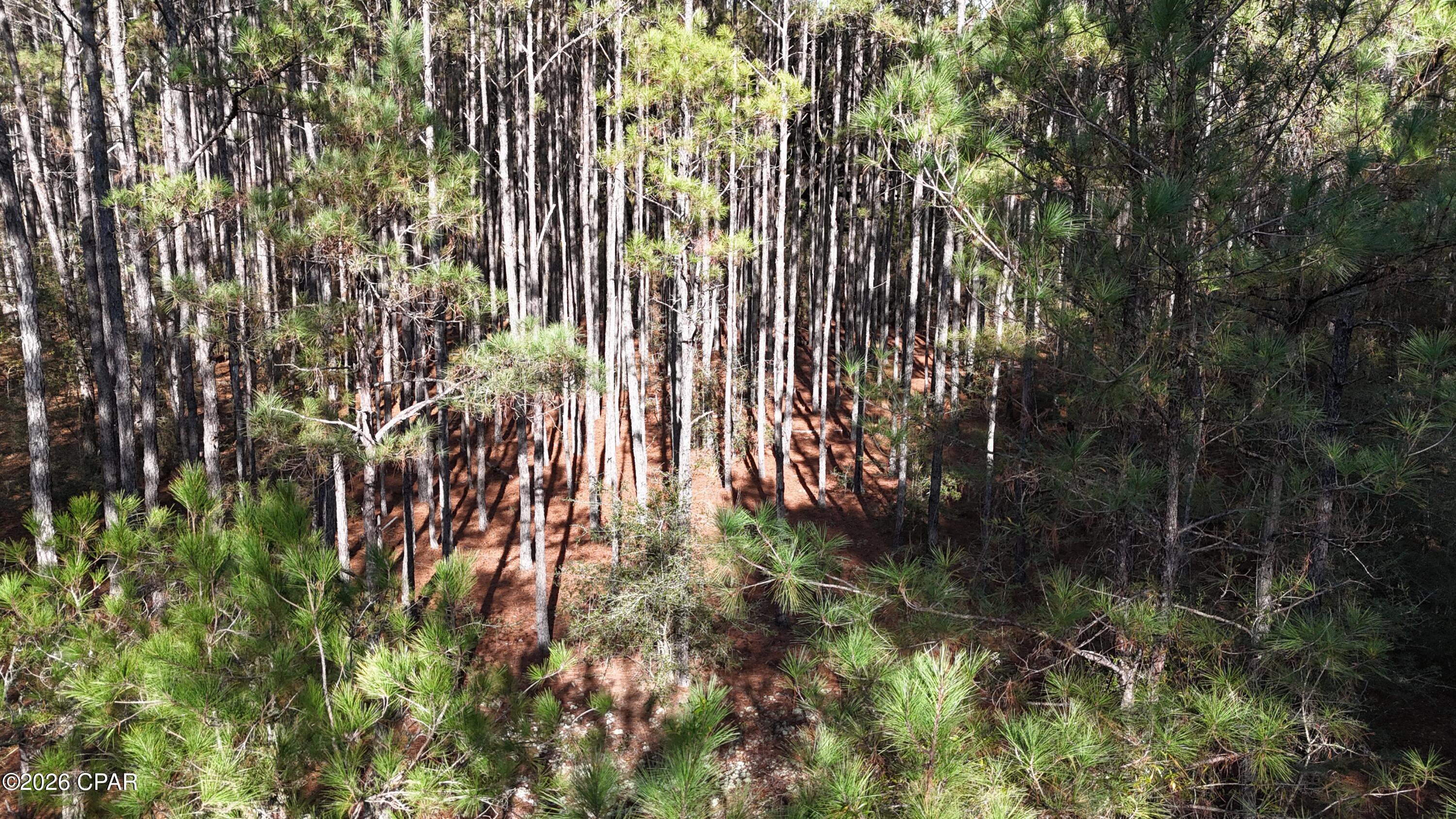 3rd image of 00 Southern Oak Wy, Westville, FL 32464 | MLS# 783431