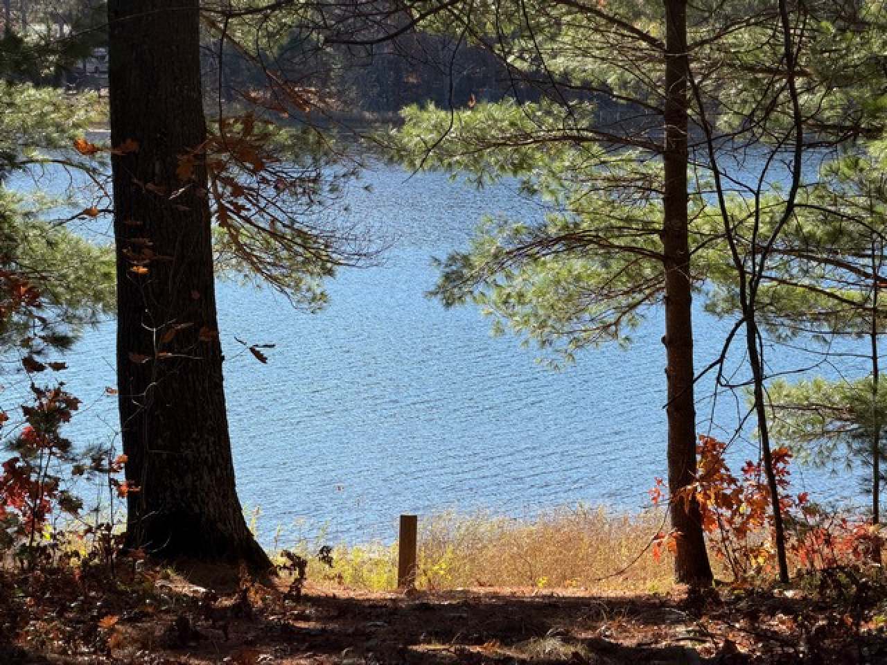 Warrior Lake Property 12180 Warpath Ln Photo 32