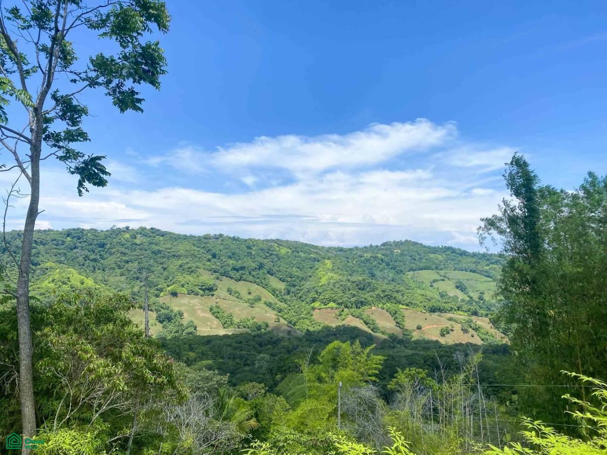 0 bed Land For Sale in Perez Zeledon, San Jose - 1