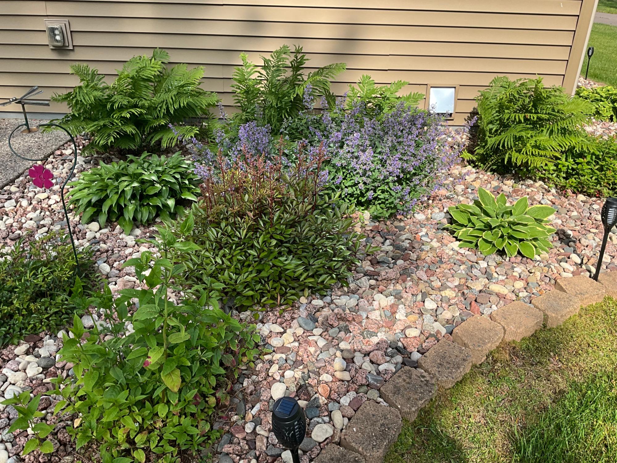 Lake Nokomis Property 2244 River Rd Photo 49