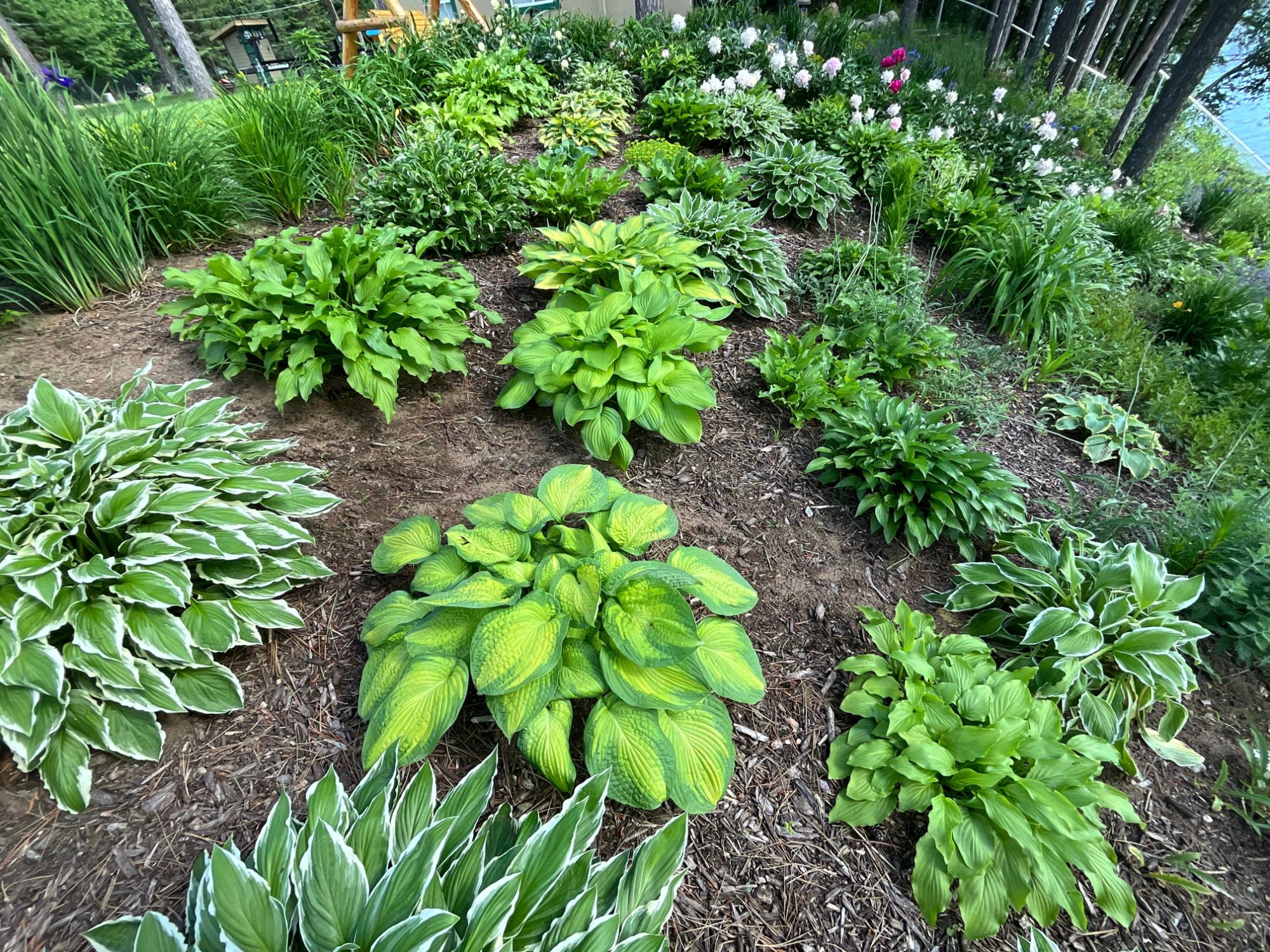 Lake Nokomis Property 2244 River Rd Photo 52