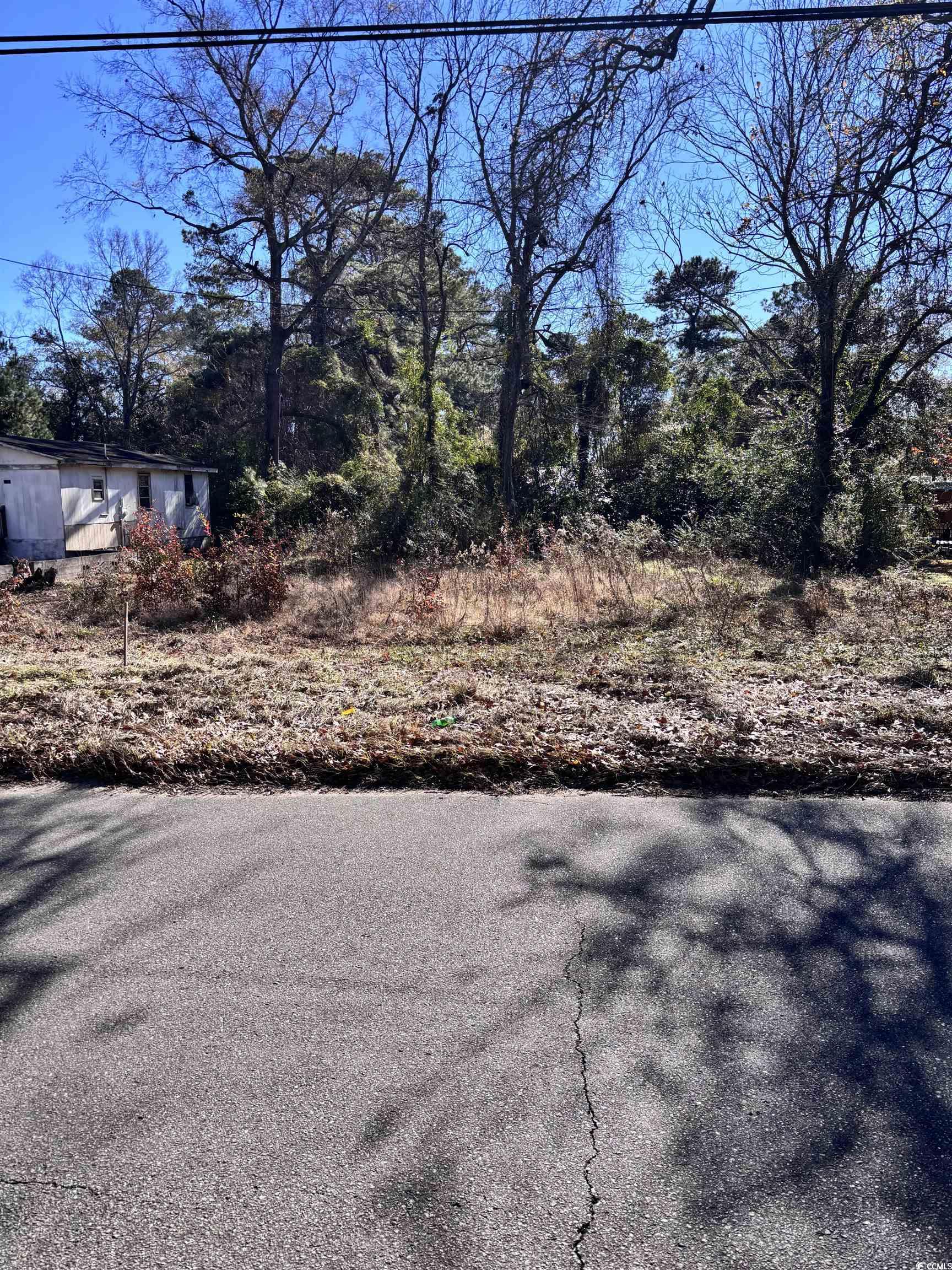 1835 Racepath Ave. Conway, SC 29527