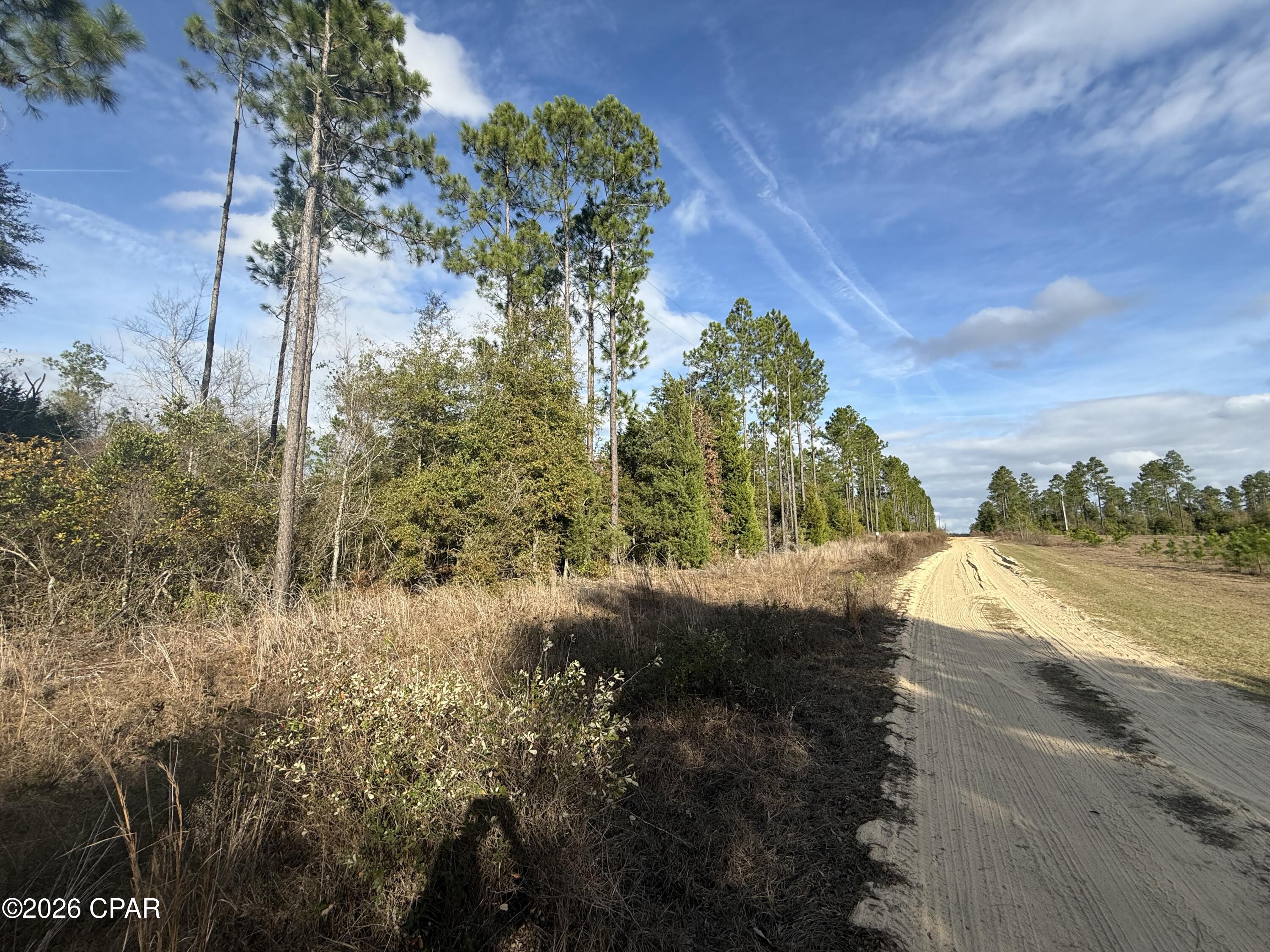 Details for 0 Glenmore Court, Marianna, FL 32446