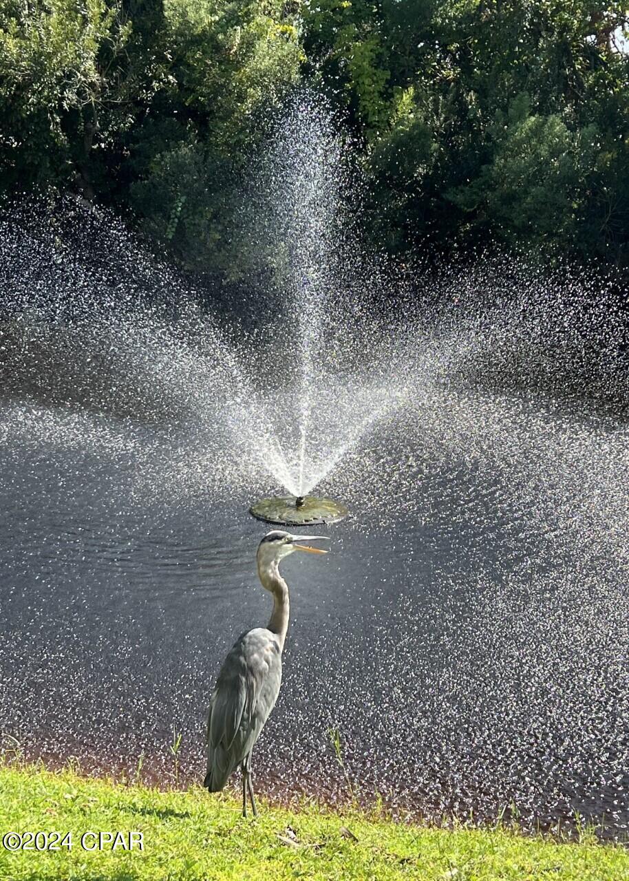 Image 61 For 17462 Front Beach Road 2b6