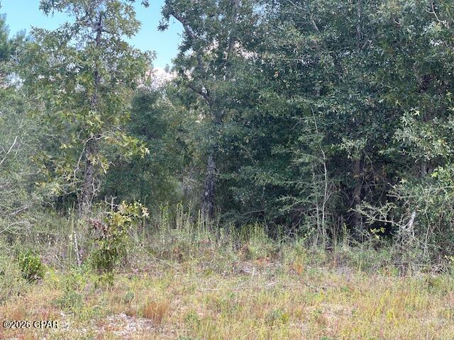 Details for 0 Yarmouth Avenue, Chipley, FL 32428