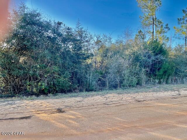 Details for 0 Carver Circle, Alford, FL 32420