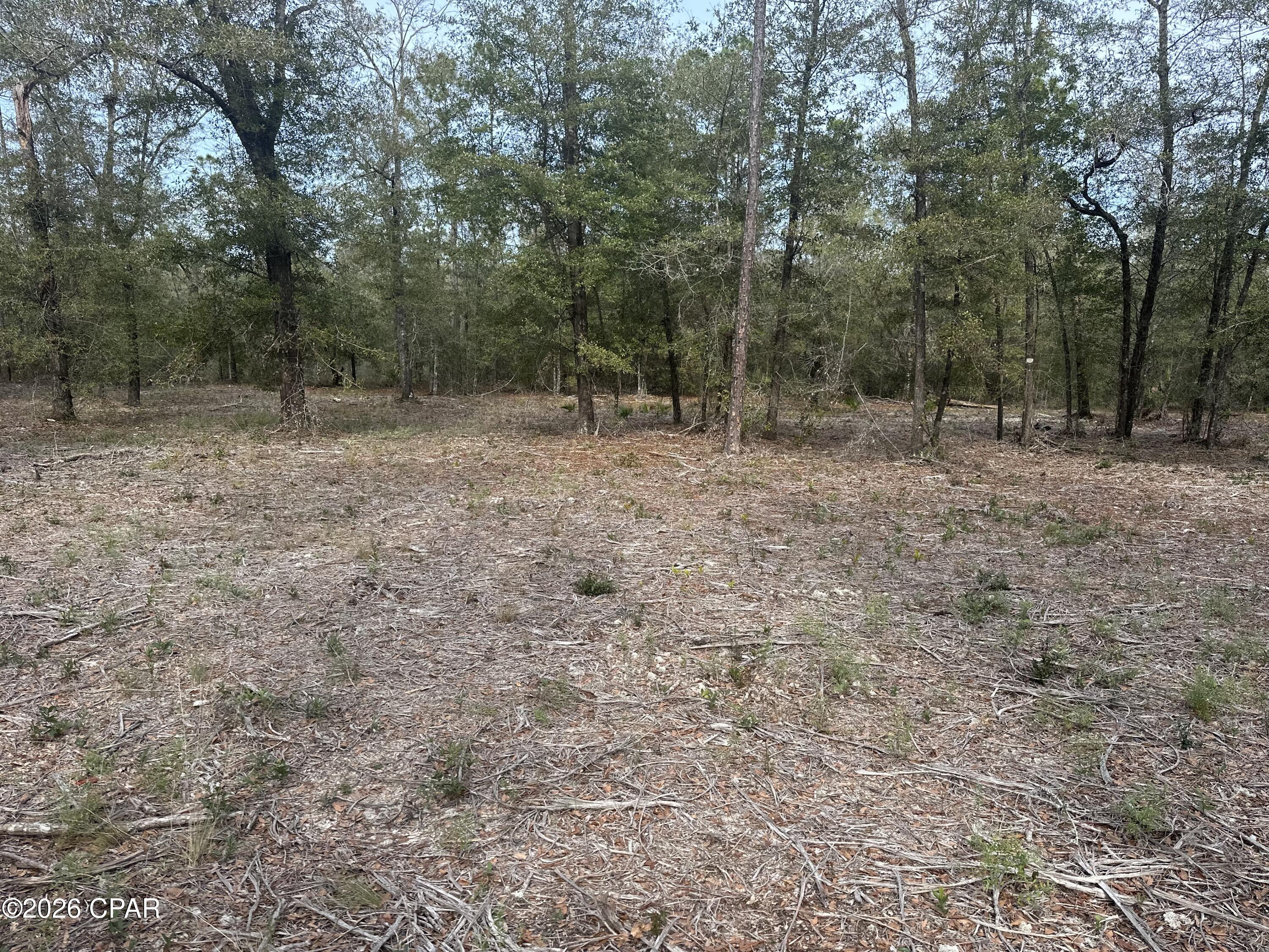 Image 4 For 13111 Timbercrest Road