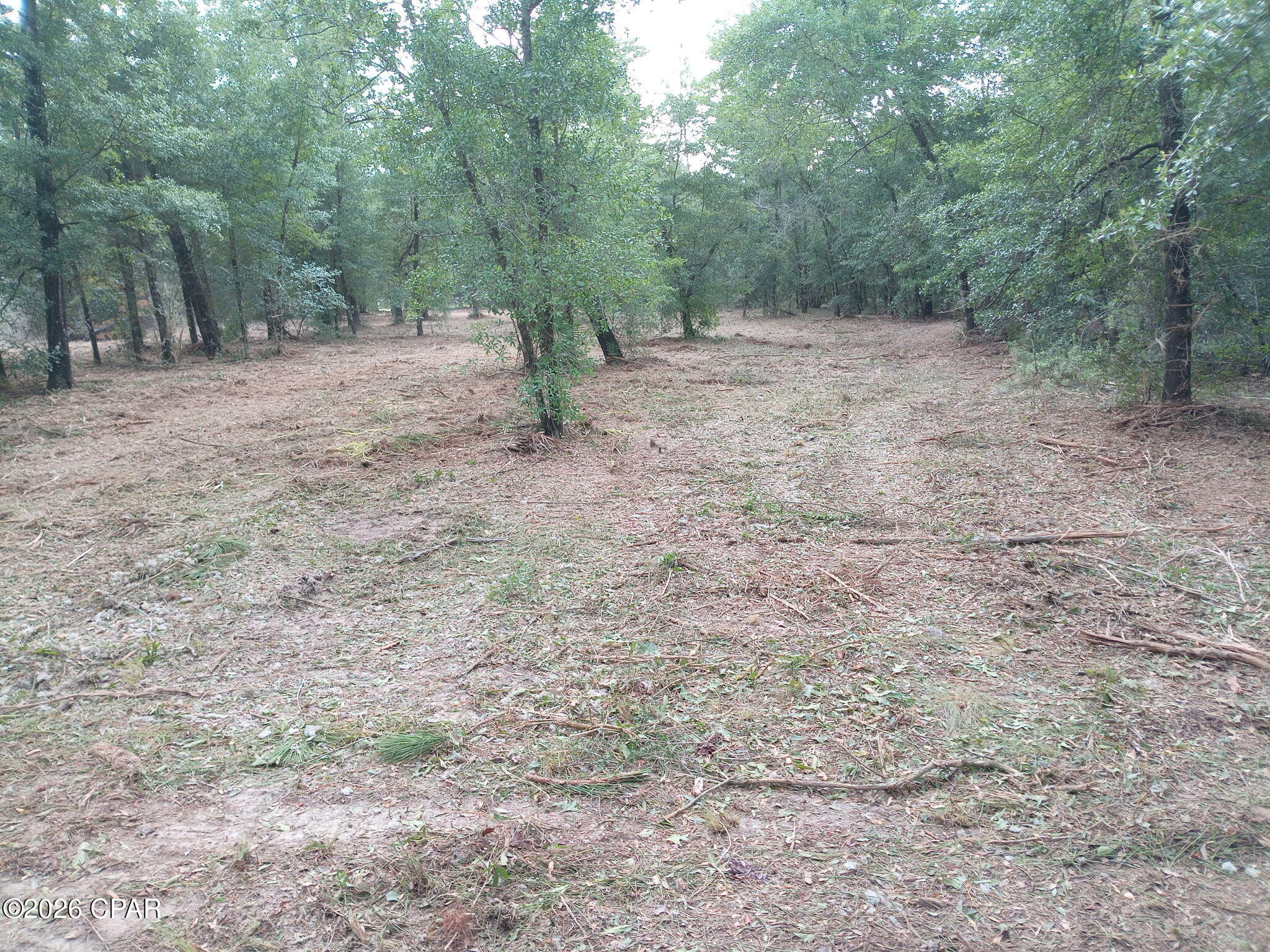 Image 6 For 13111 Timbercrest Road