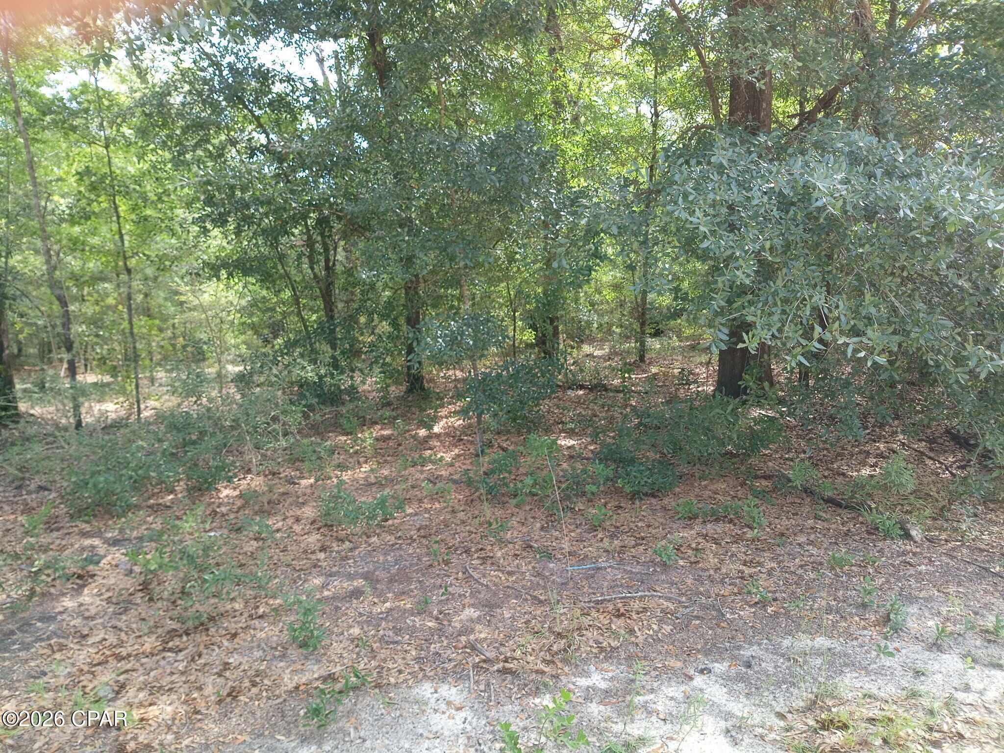 Image 7 For 13111 Timbercrest Road