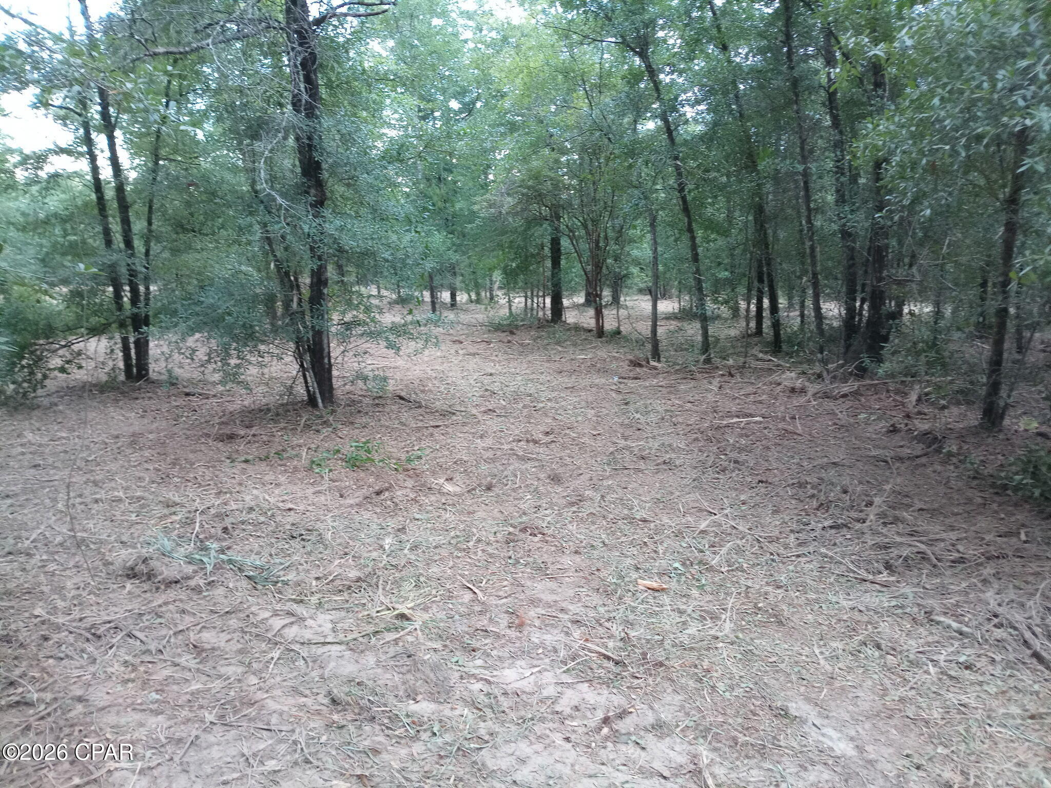 Listing photo id 8 for 13111 Timbercrest Road