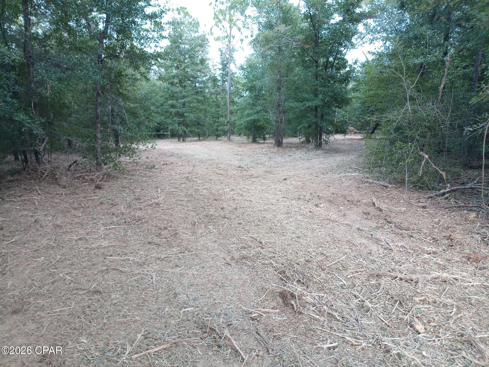 Listing photo id 9 for 13111 Timbercrest Road