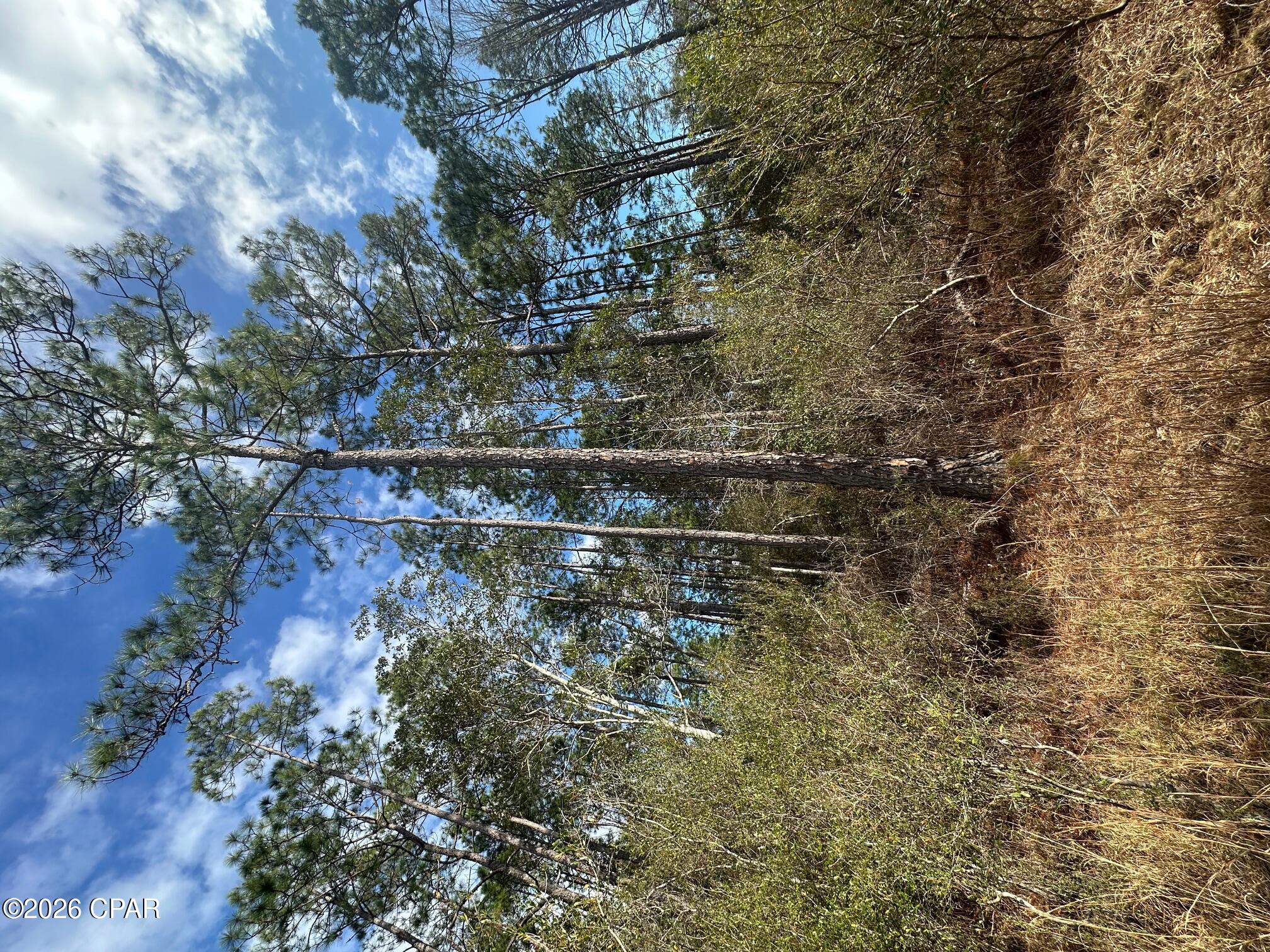 Details for 5033 Douglas Ferry Road, Caryville, FL 32427