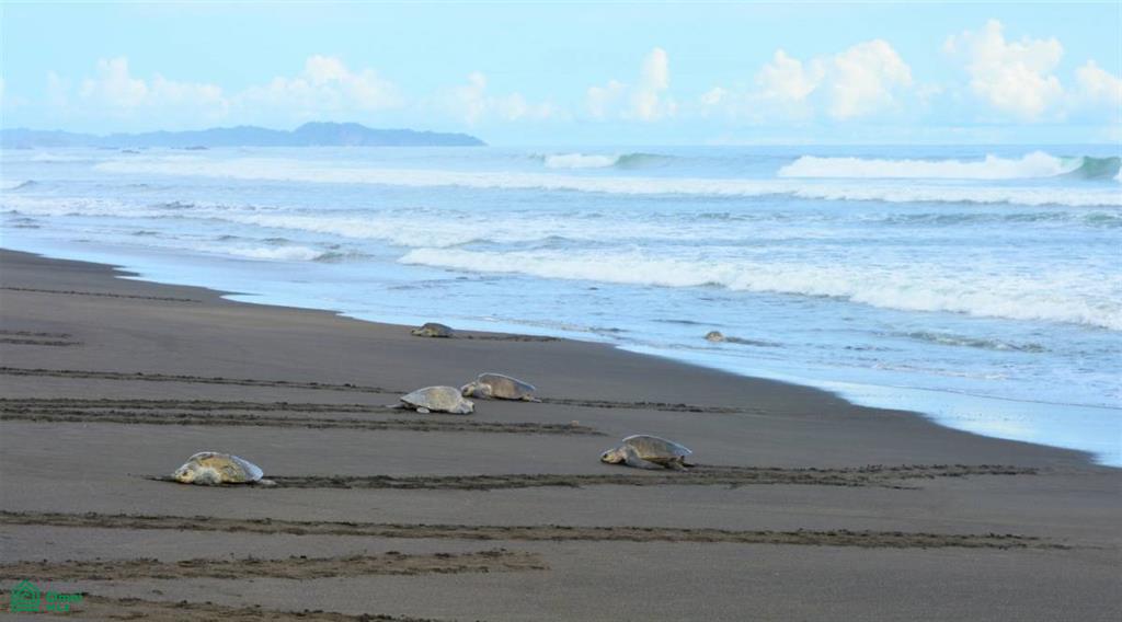 0 bed Land For Sale in Nandayure, Guanacaste - 1