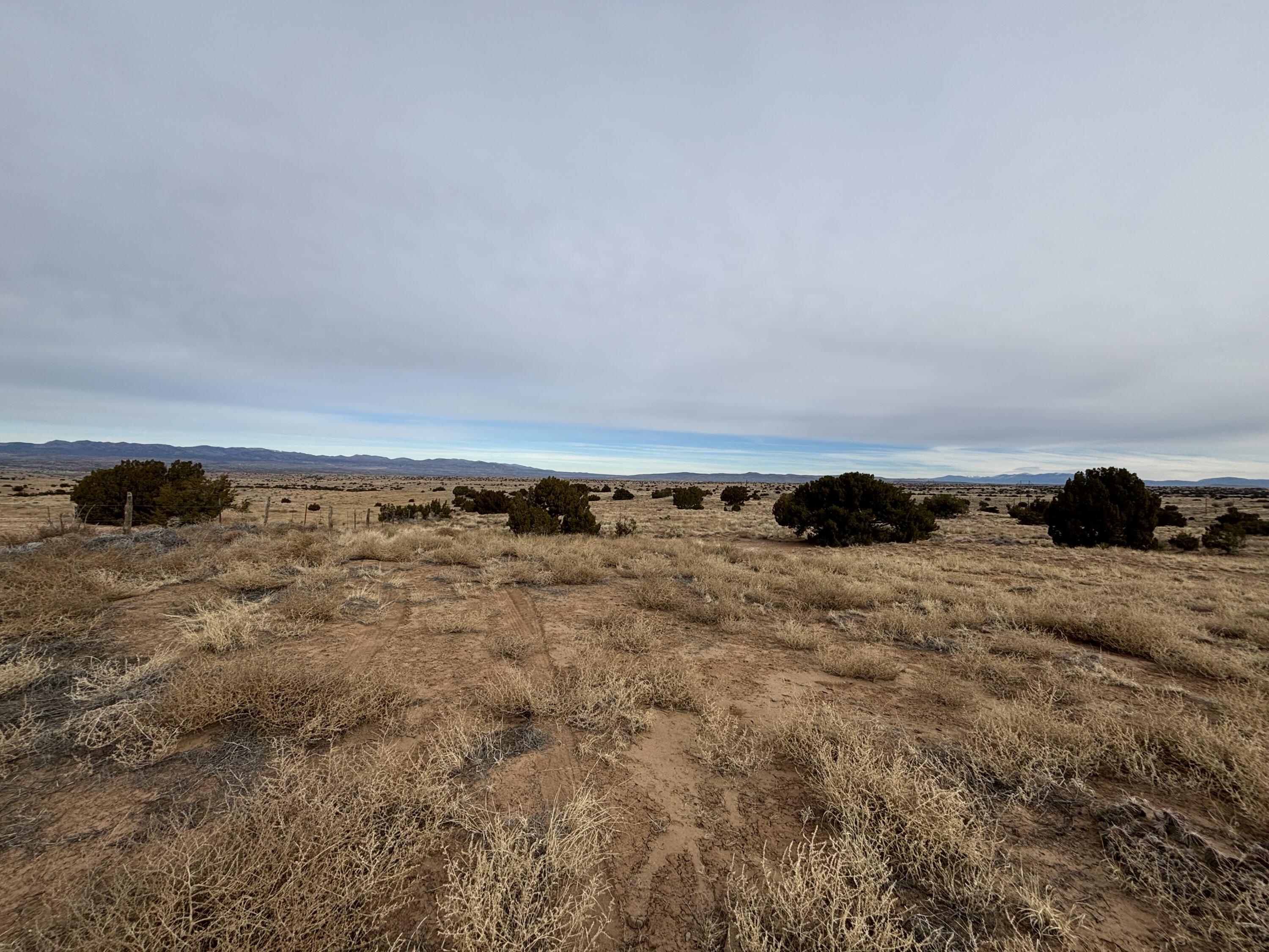 Off W Frontage Road Budaghers, NM 87001