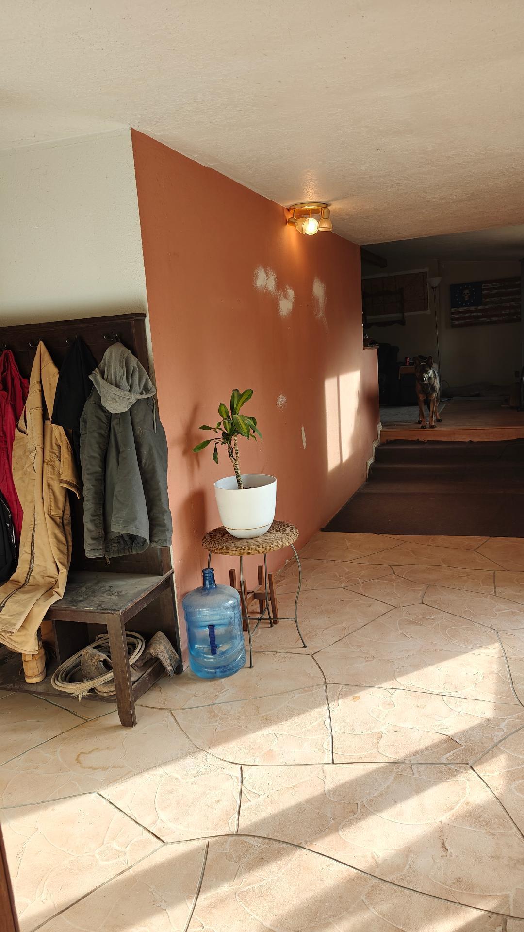 home is stucoed exterior single wide with additions will not finance  landscaped  and heats with wood stove conventual heating in place as well  tired of city living this might be the plaice  peaceful country living still 50 min from Albq or Santa fe