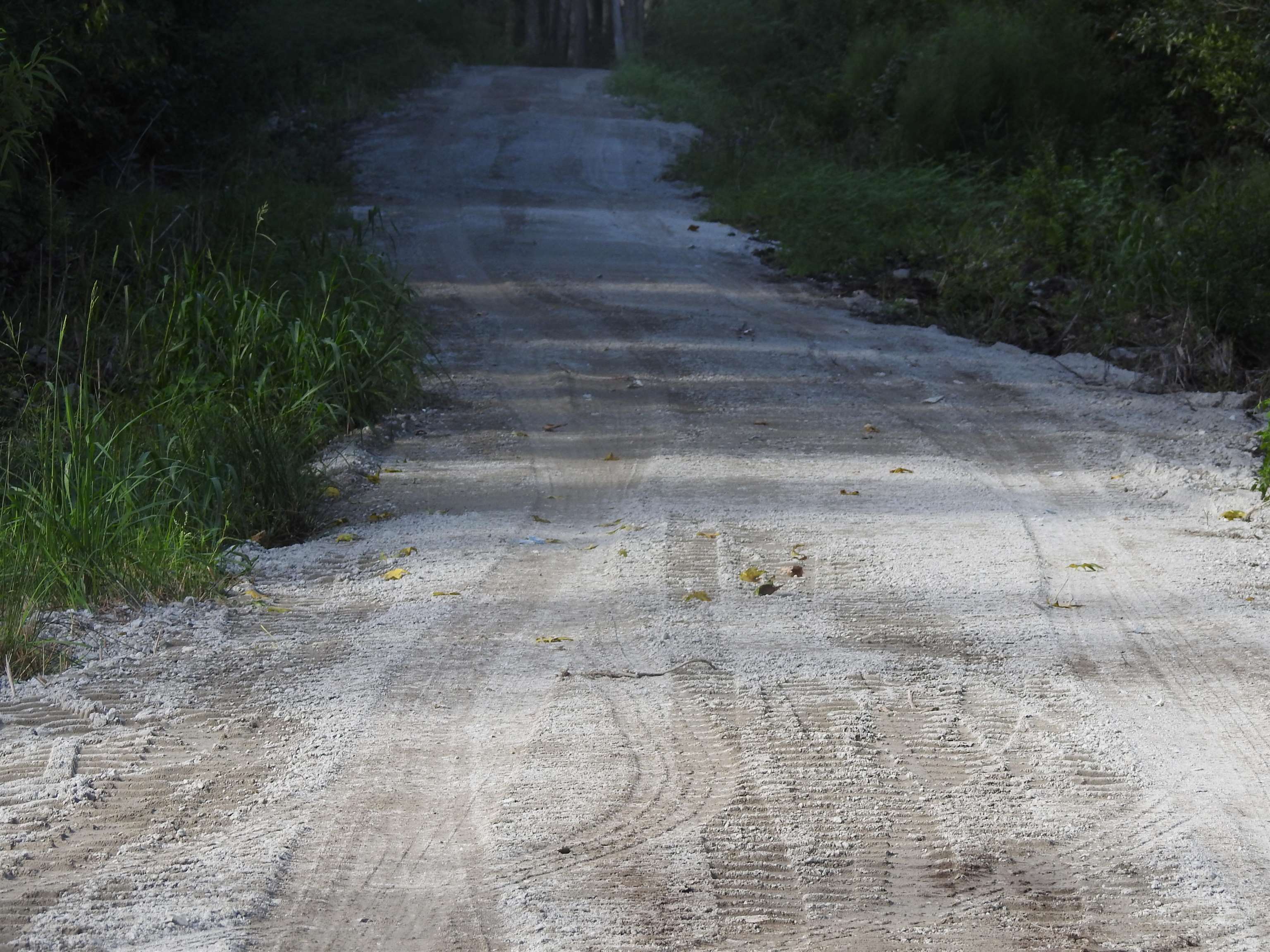 2600995 | Photo 25