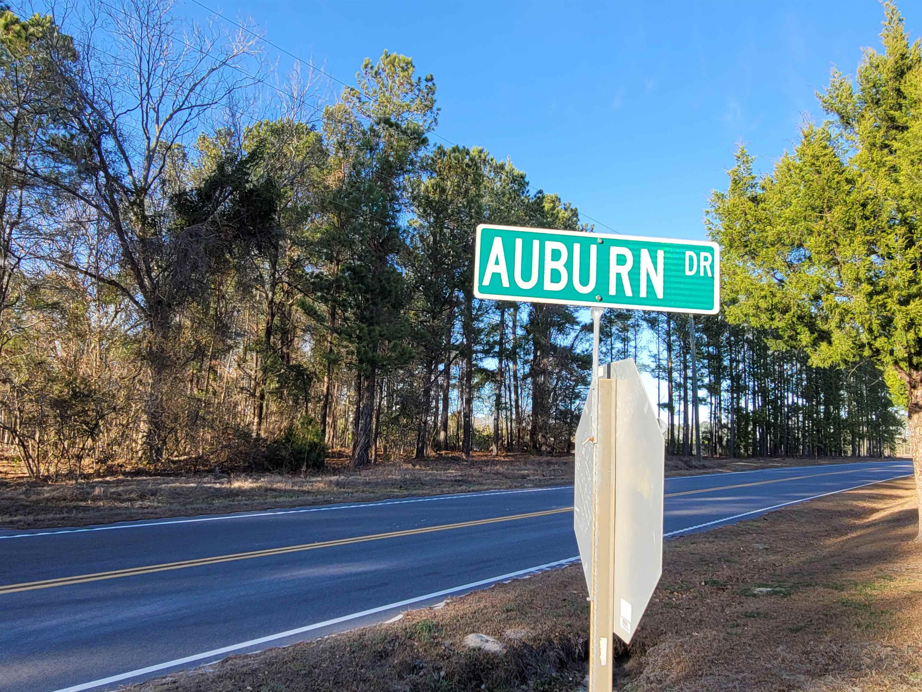 TBD 2 Auburn Rd. Loris, SC 29569