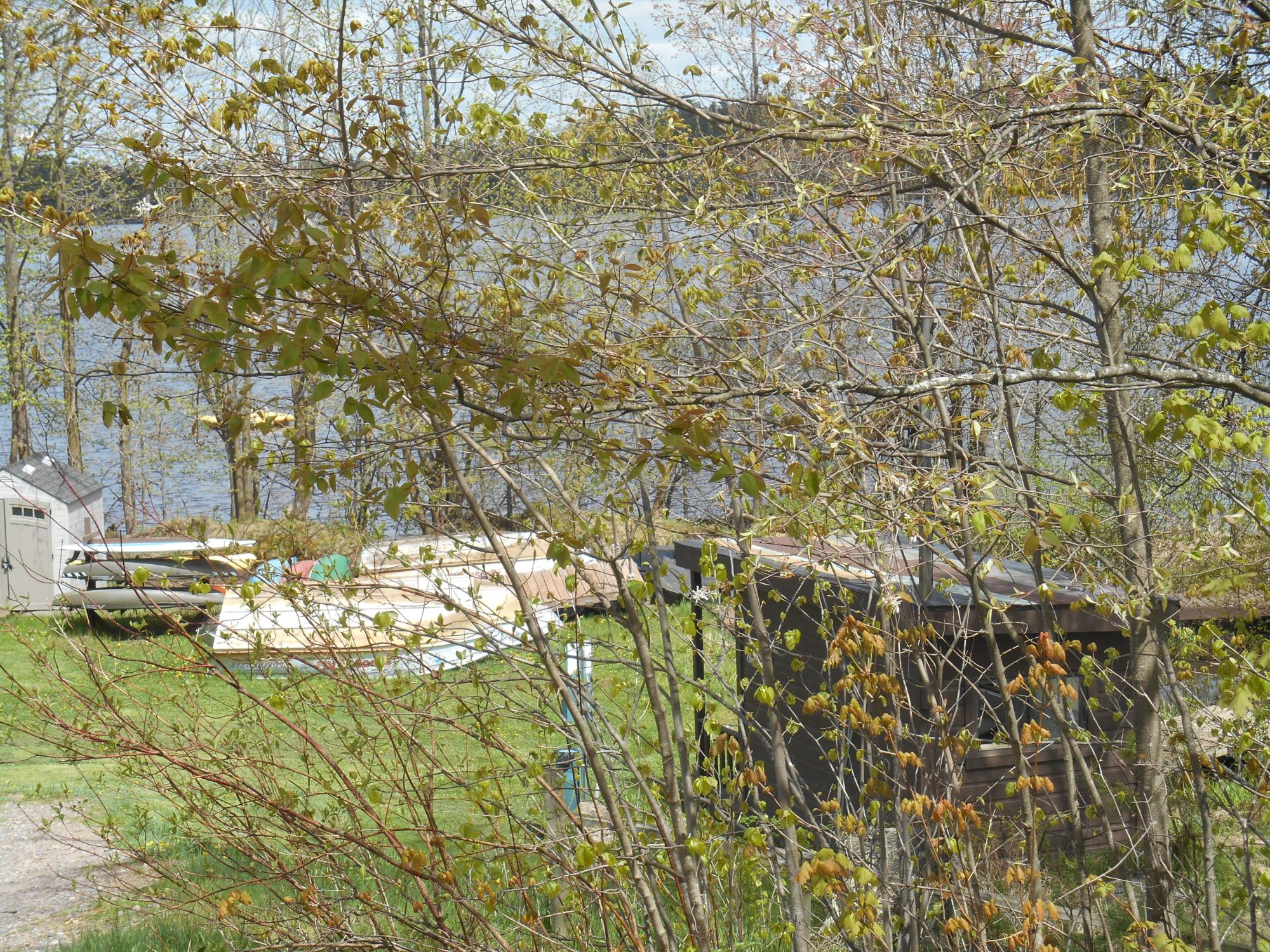 Undocumented Lake Property W767 Deer Crossing Ln Photo 25