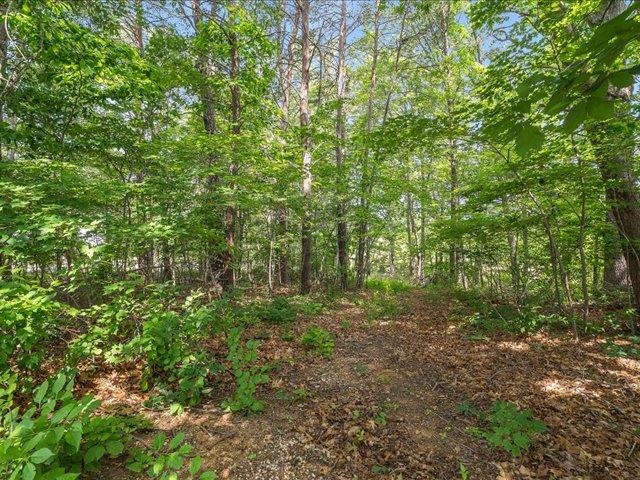 41 Hickory Nut Ln