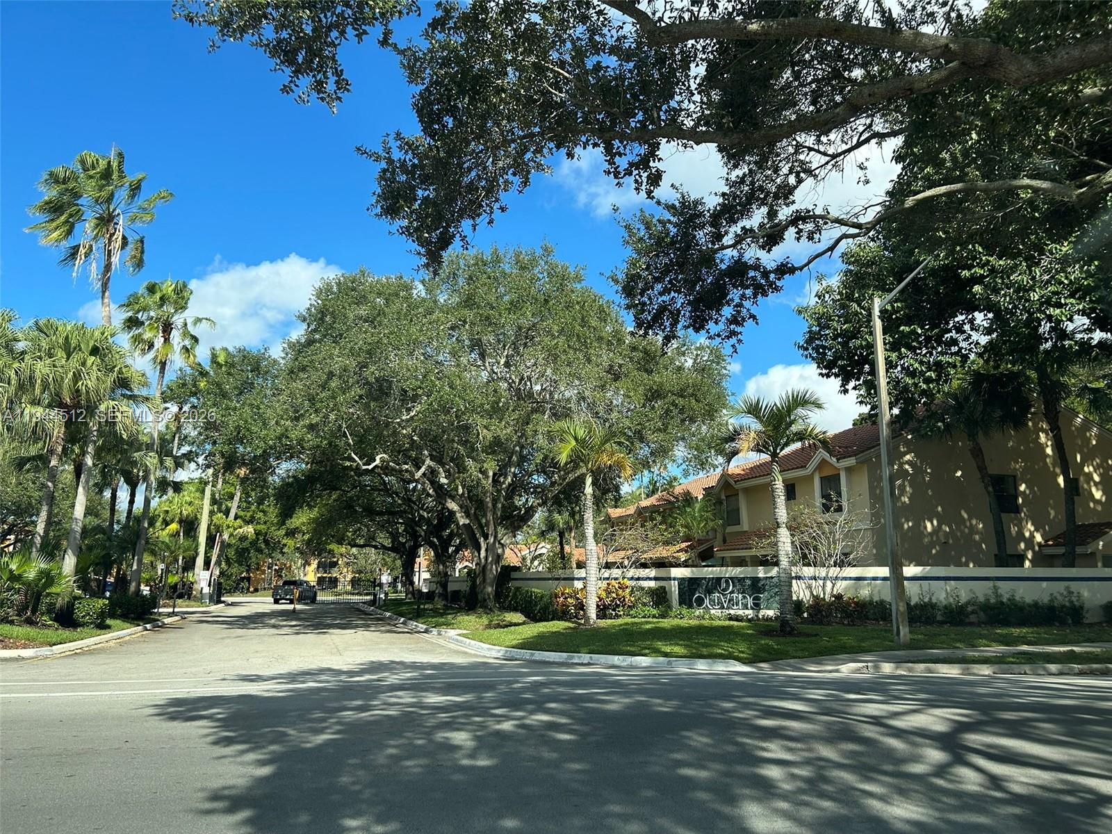 Olivine At The Township