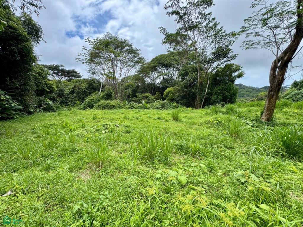 0 bed Land For Sale in Osa, Puntarenas - 1