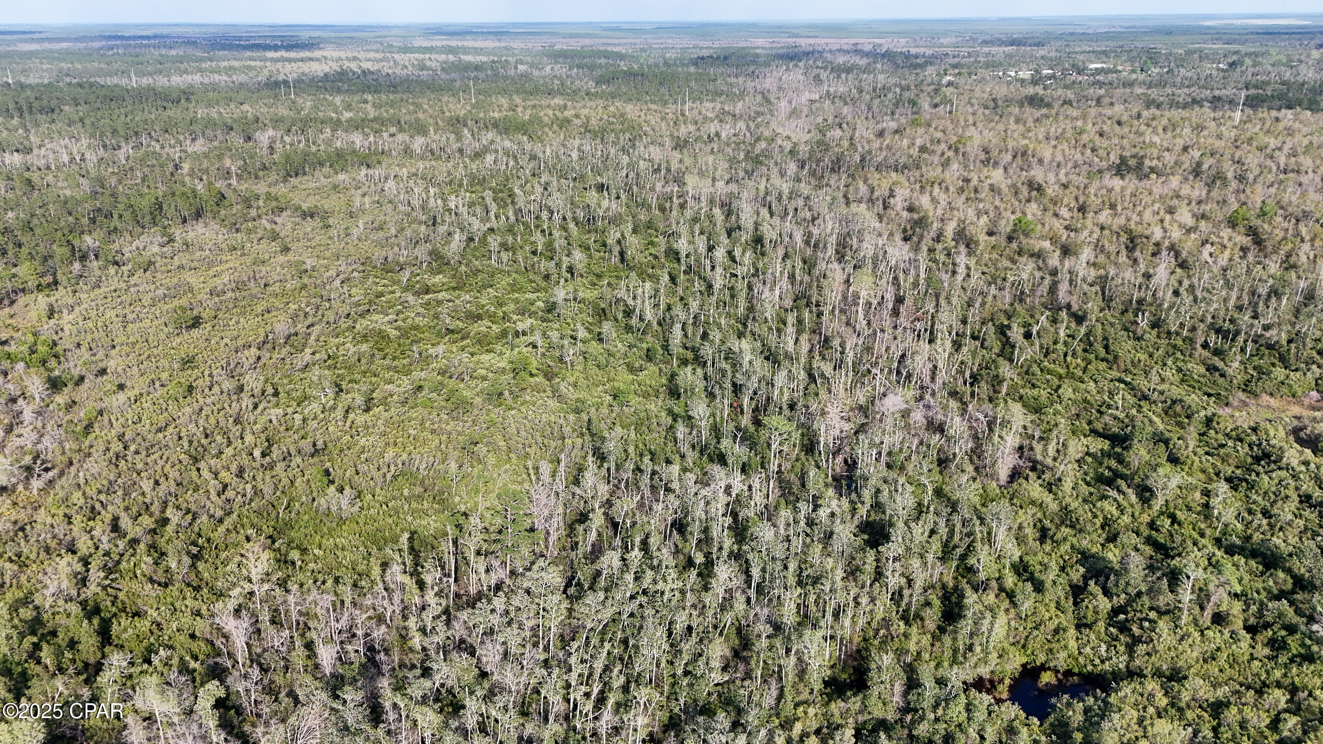 Image 5 For 0 Timberland Road