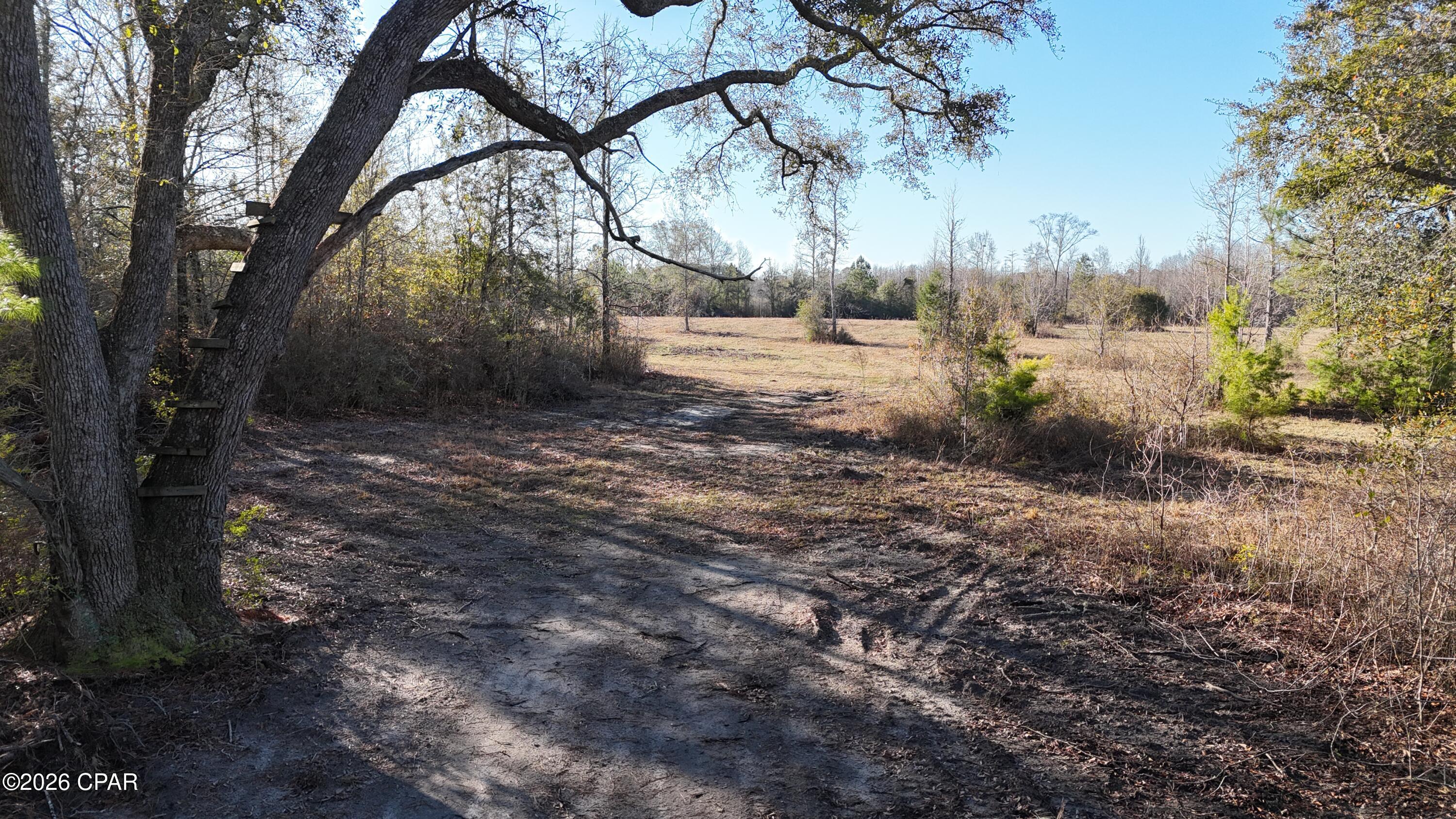 Details for 3120 Mount Olive Road, Bonifay, FL 32425