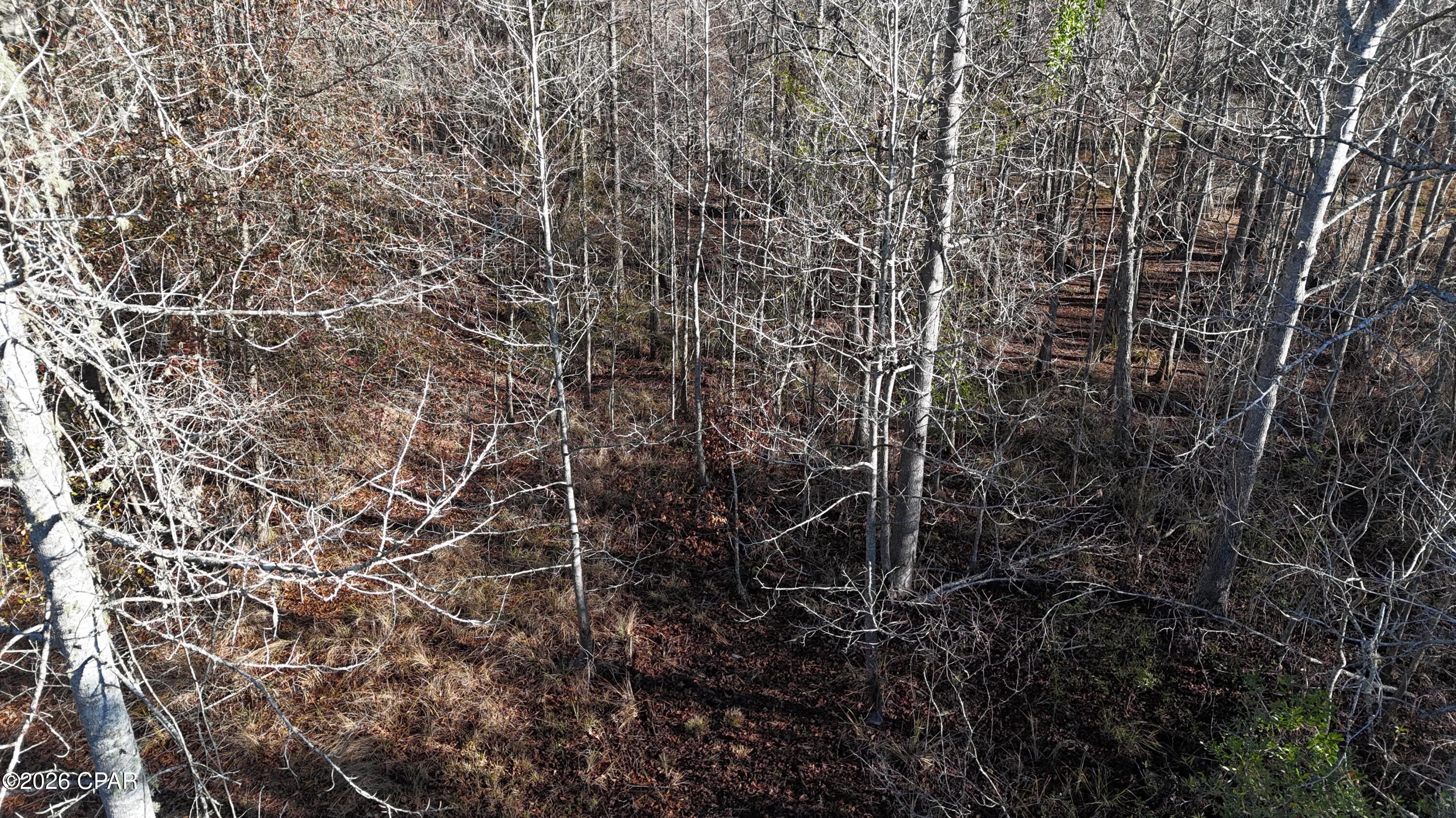 Image 11 For 3120 Mount Olive Road