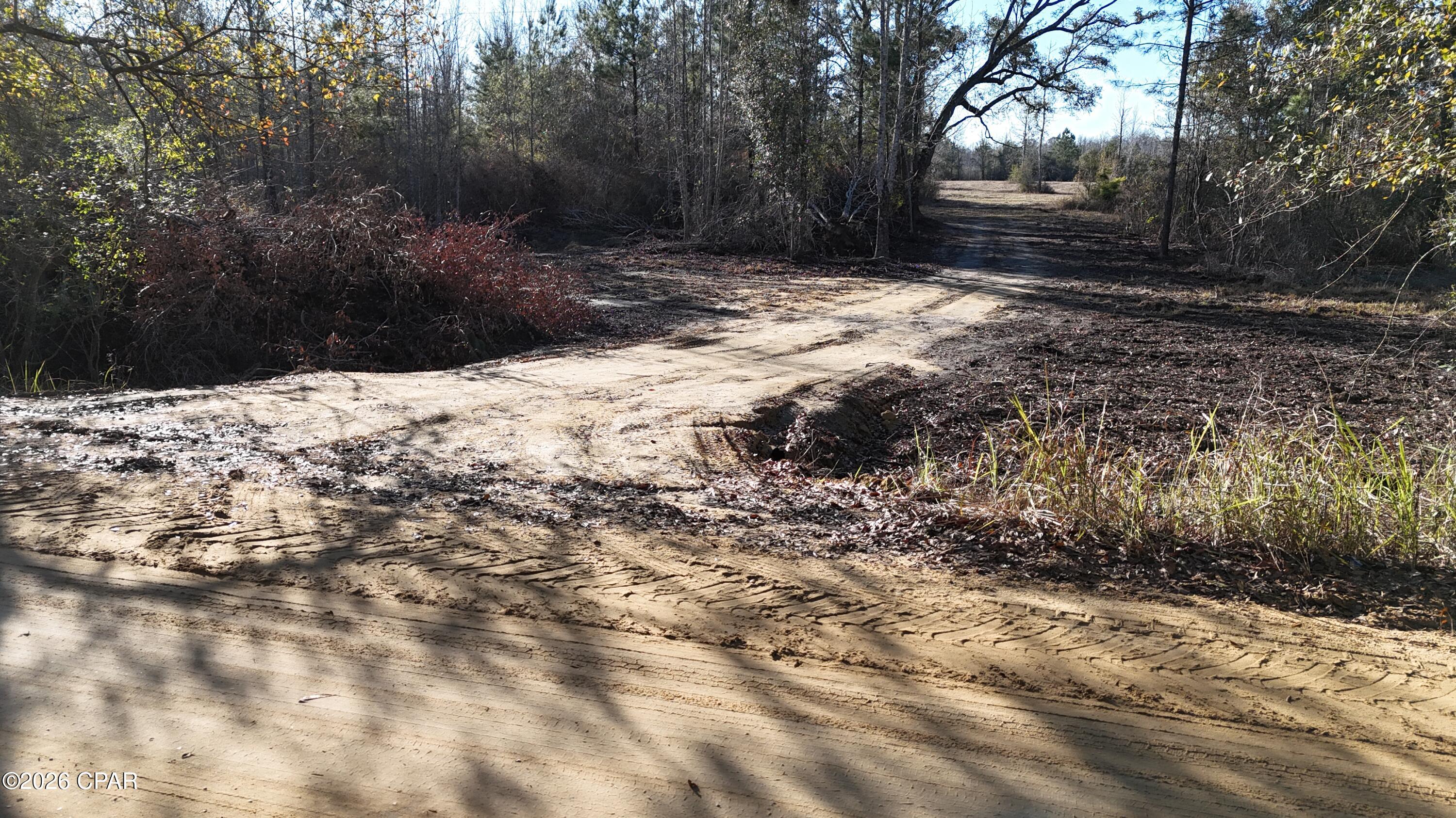 Image 6 For 3120 Mount Olive Road