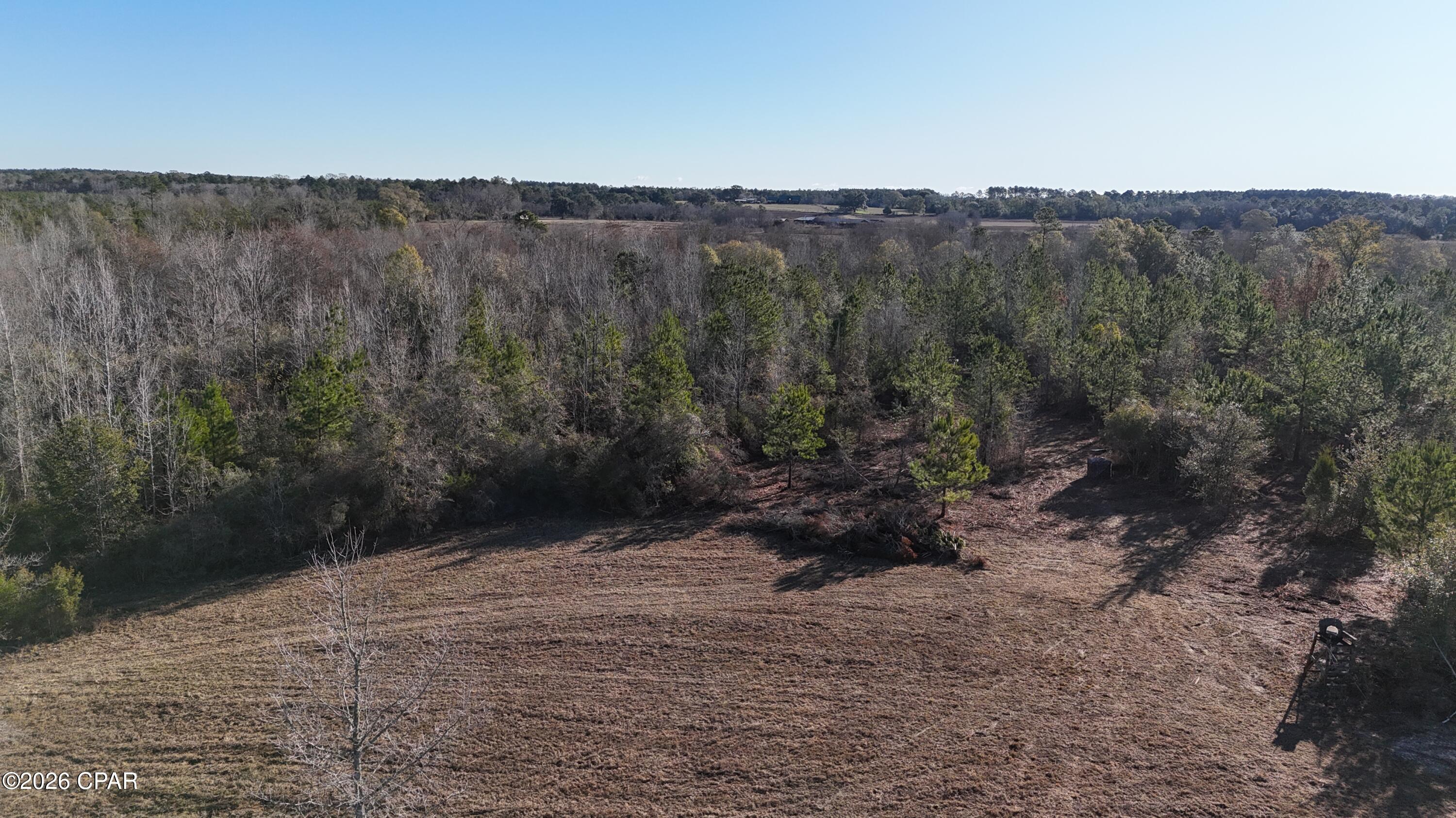 Image 8 For 3120 Mount Olive Road