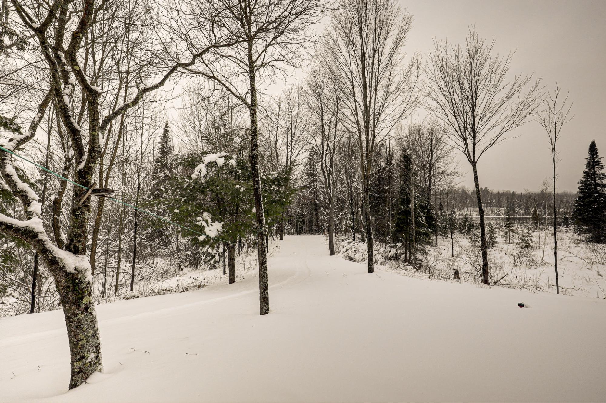 River Property Property 2899 Hwy 17 Photo 43