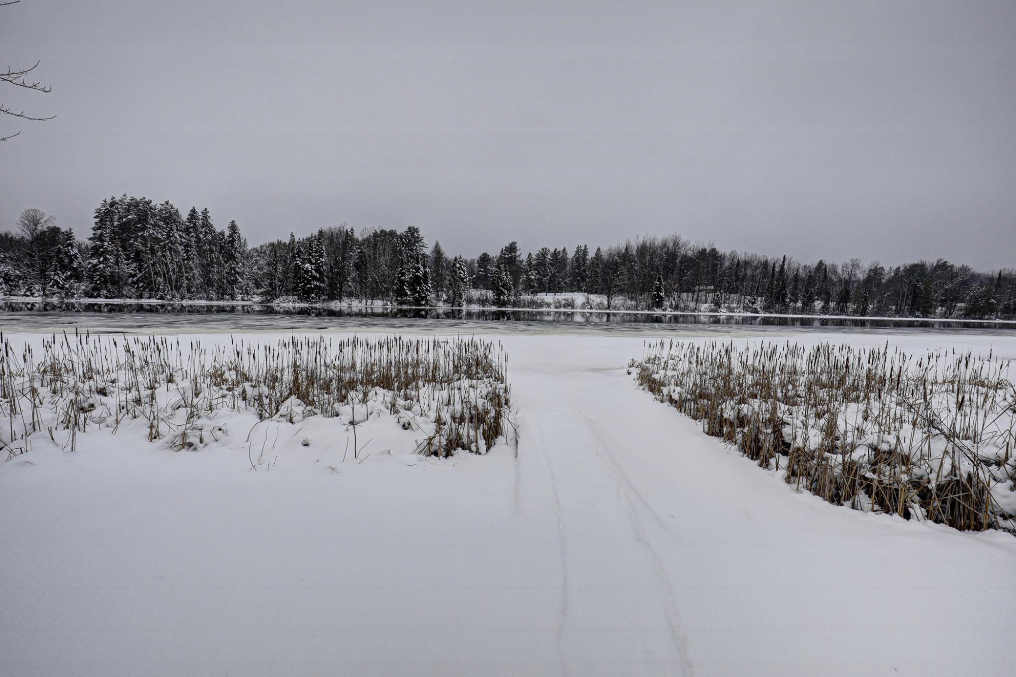 Undocumented Lake Property 2899 Hwy 17 Photo 53