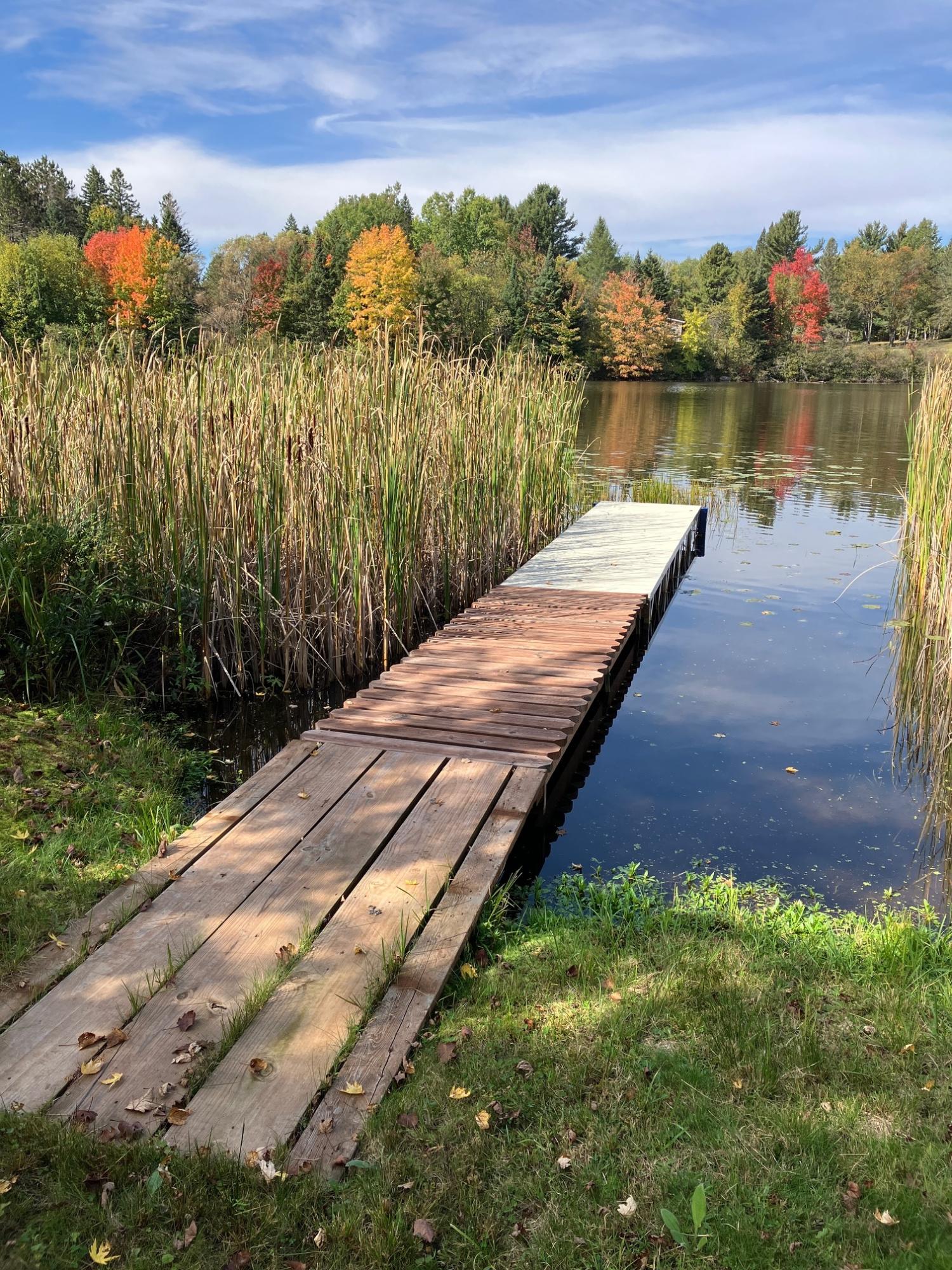 Undocumented Lake Property 2899 Hwy 17 Photo 74