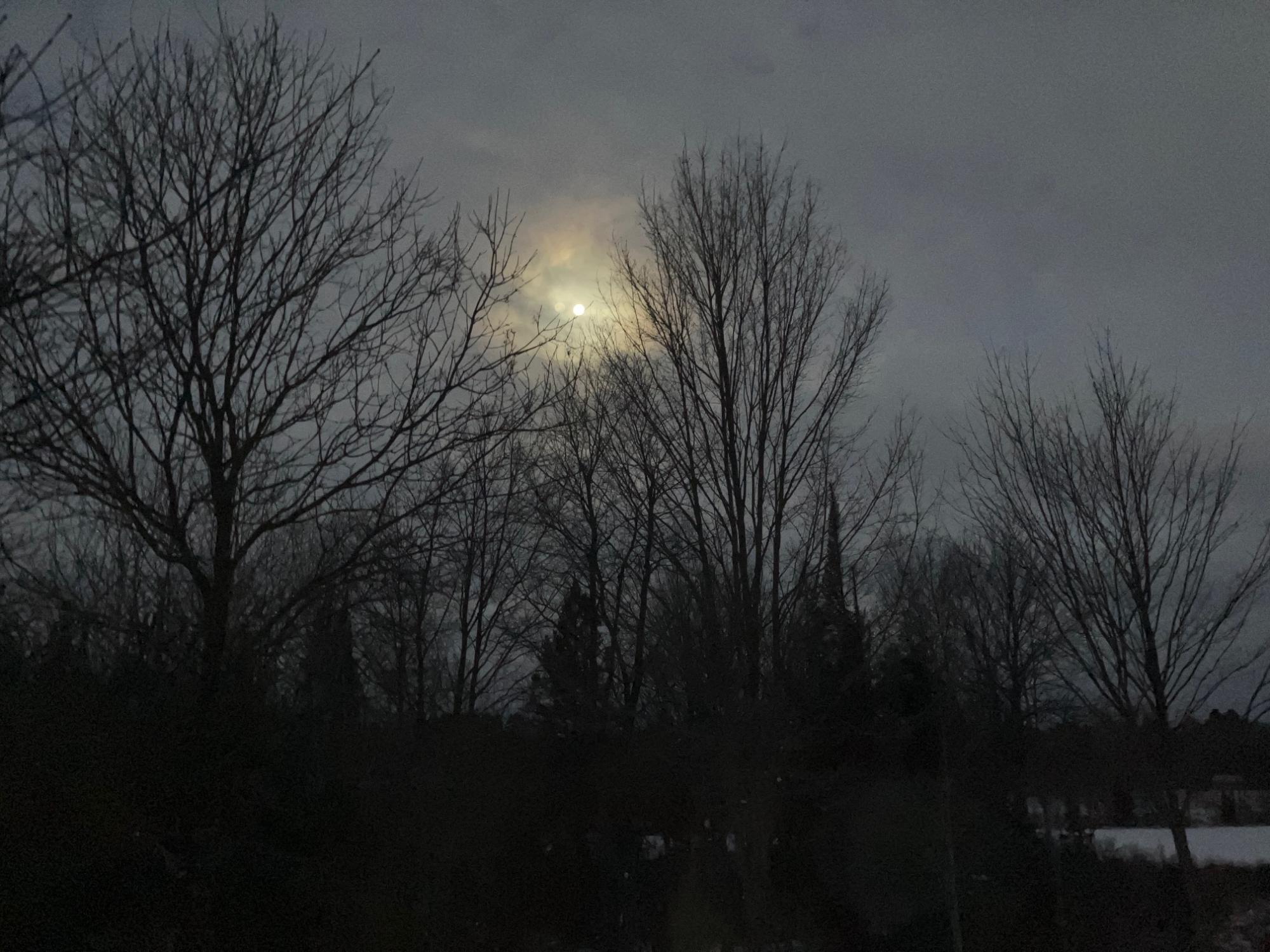 Undocumented Lake Property 2899 Hwy 17 Photo 75