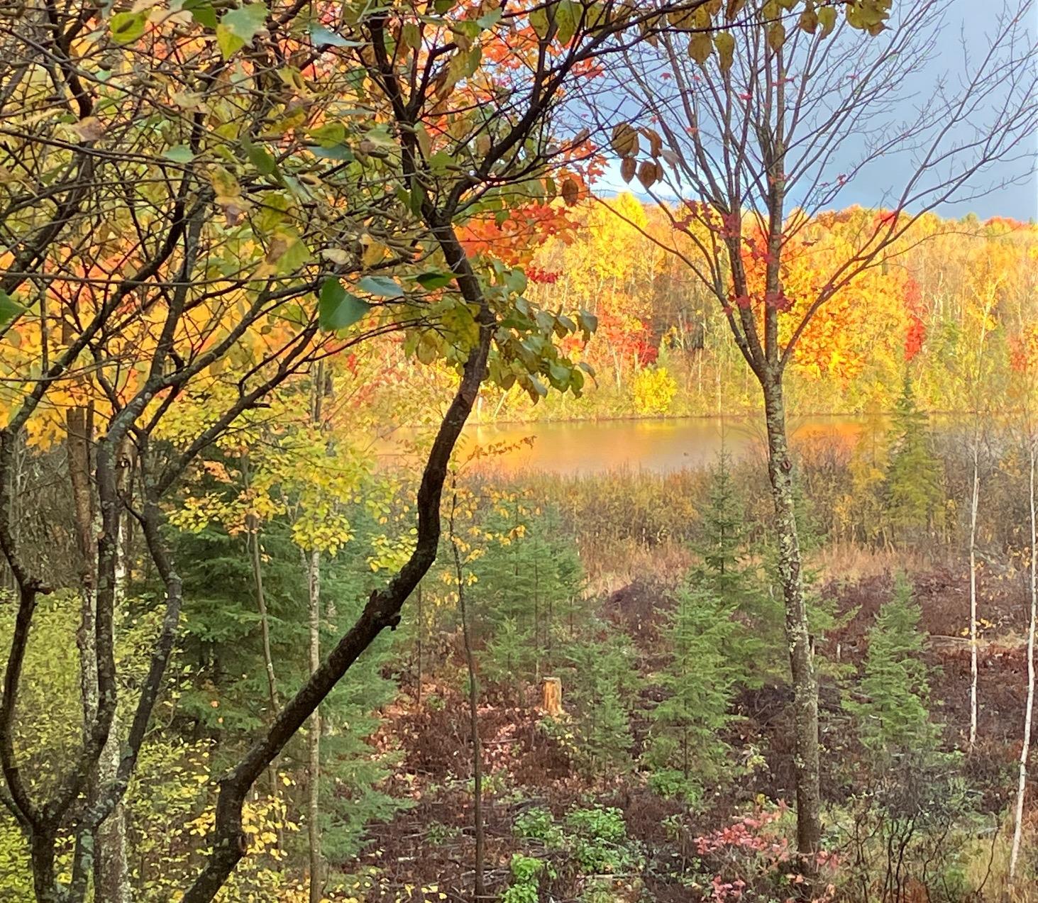 Undocumented Lake Property 2899 Hwy 17 Photo 77