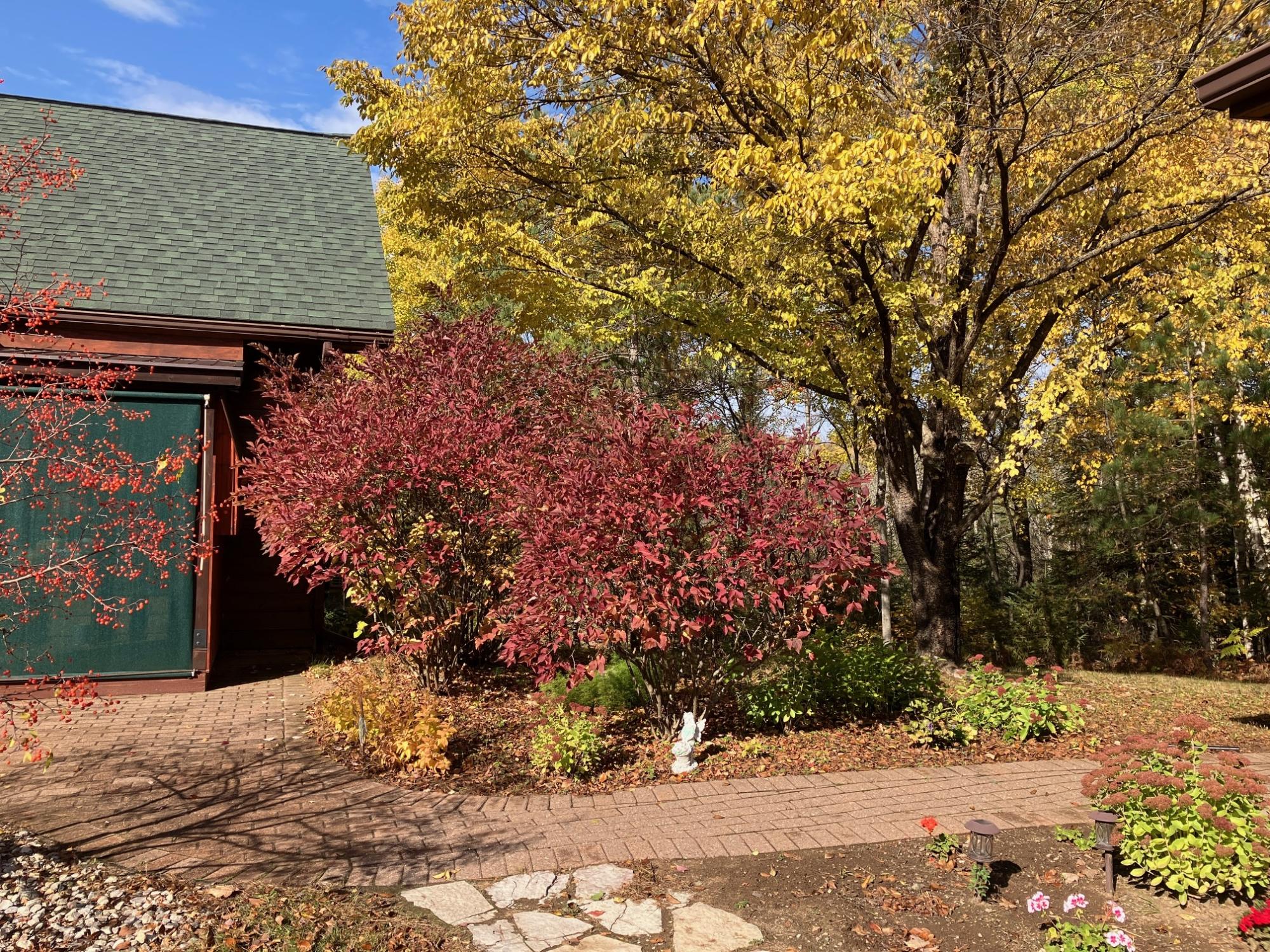 Undocumented Lake Property 2899 Hwy 17 Photo 78