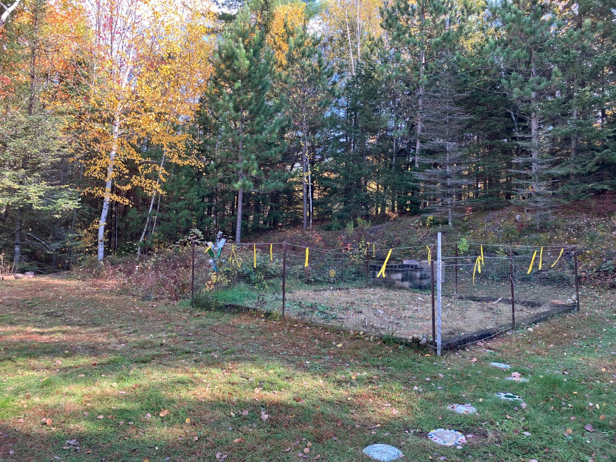 River Property Property 2899 Hwy 17 Photo 82