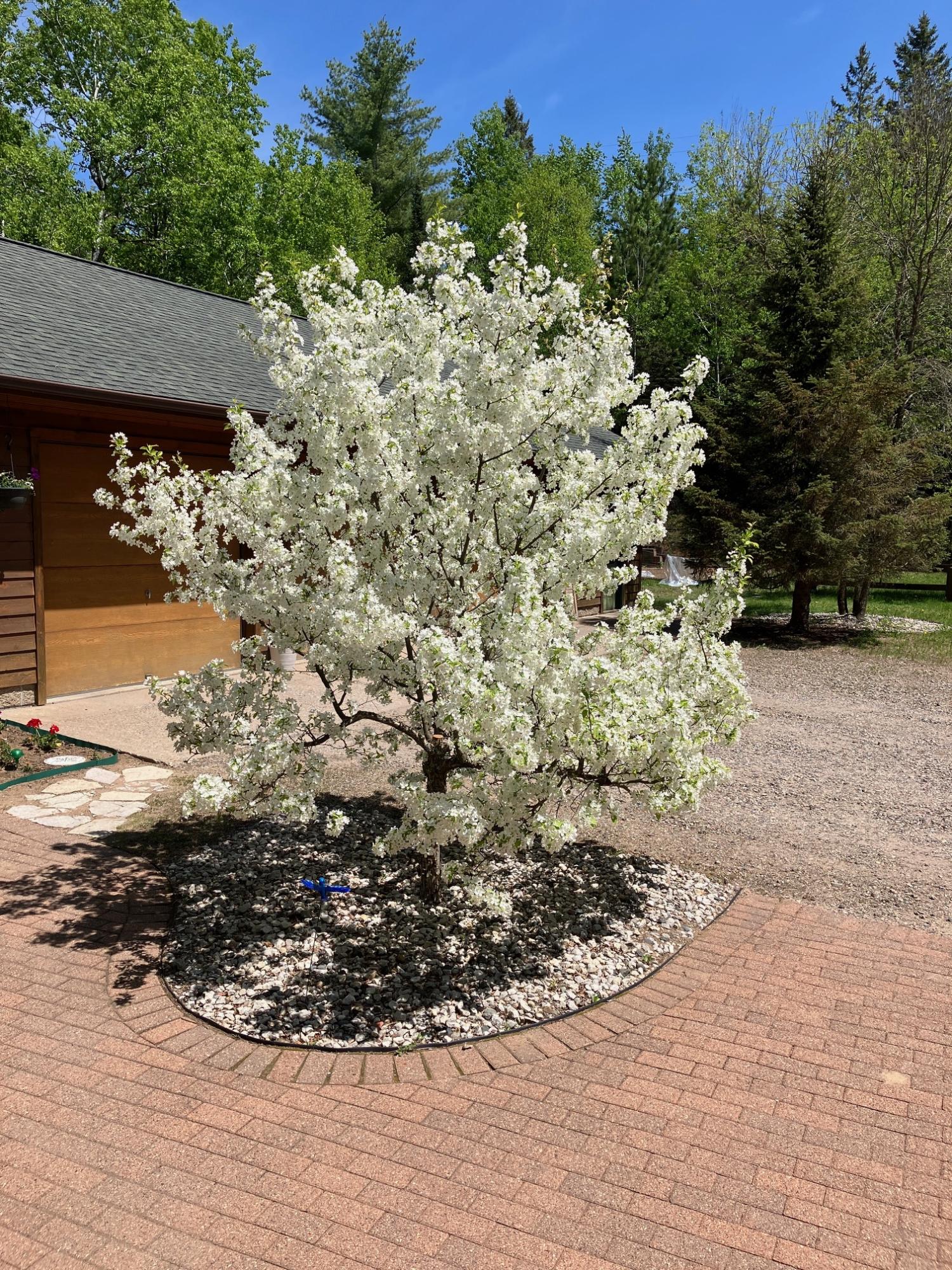 Undocumented Lake Property 2899 Hwy 17 Photo 95