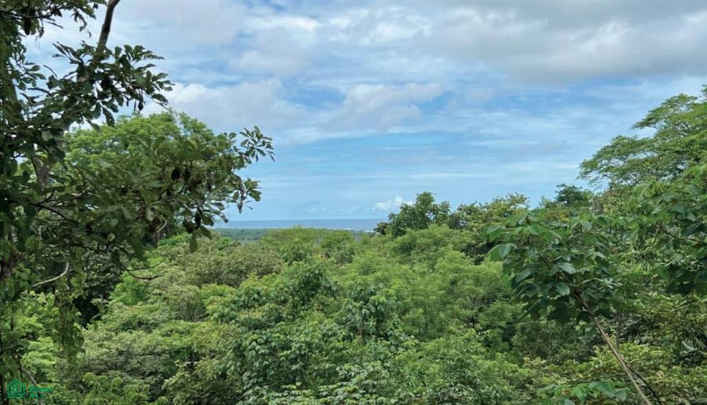 0 bed Land For Sale in Santa Cruz, Guanacaste - 1