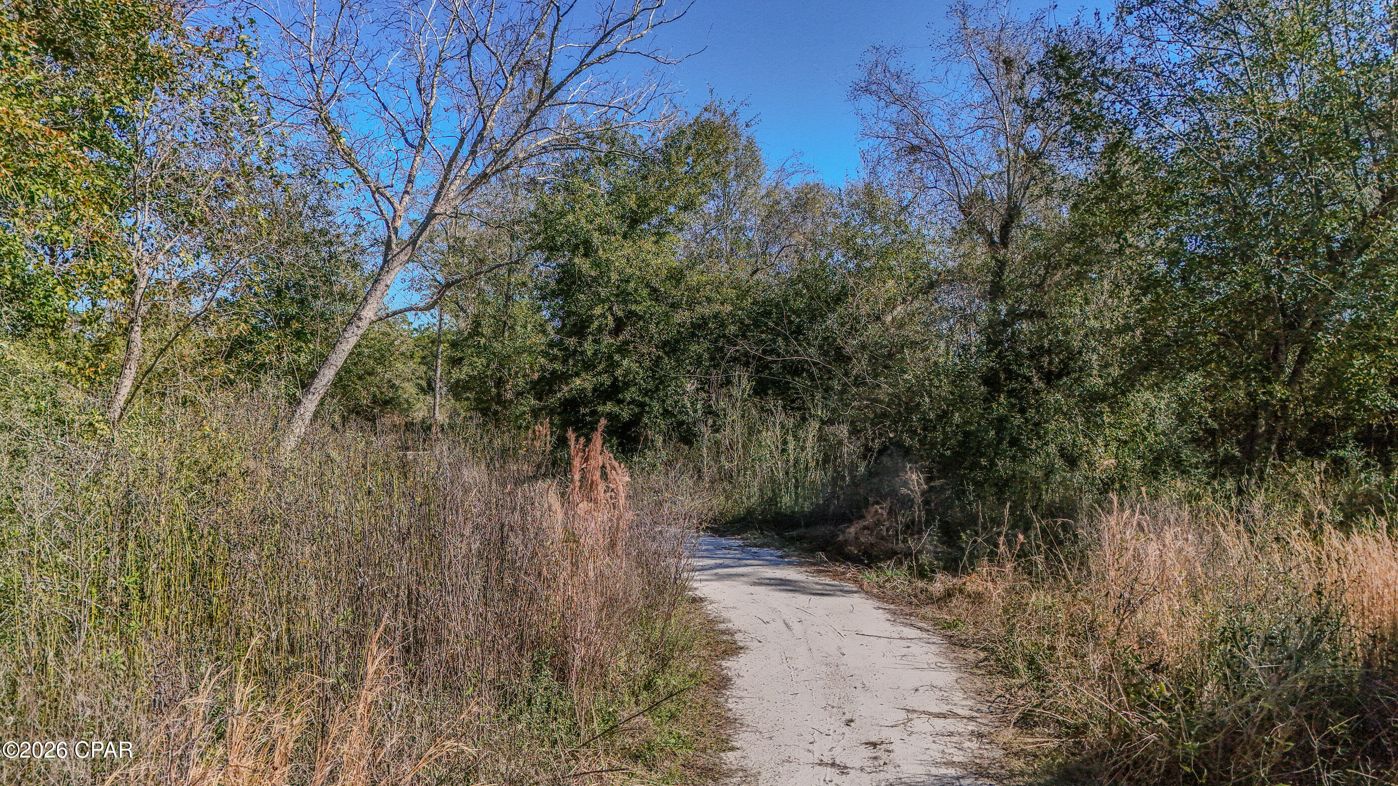 Image 9 For 6312 Highway 77