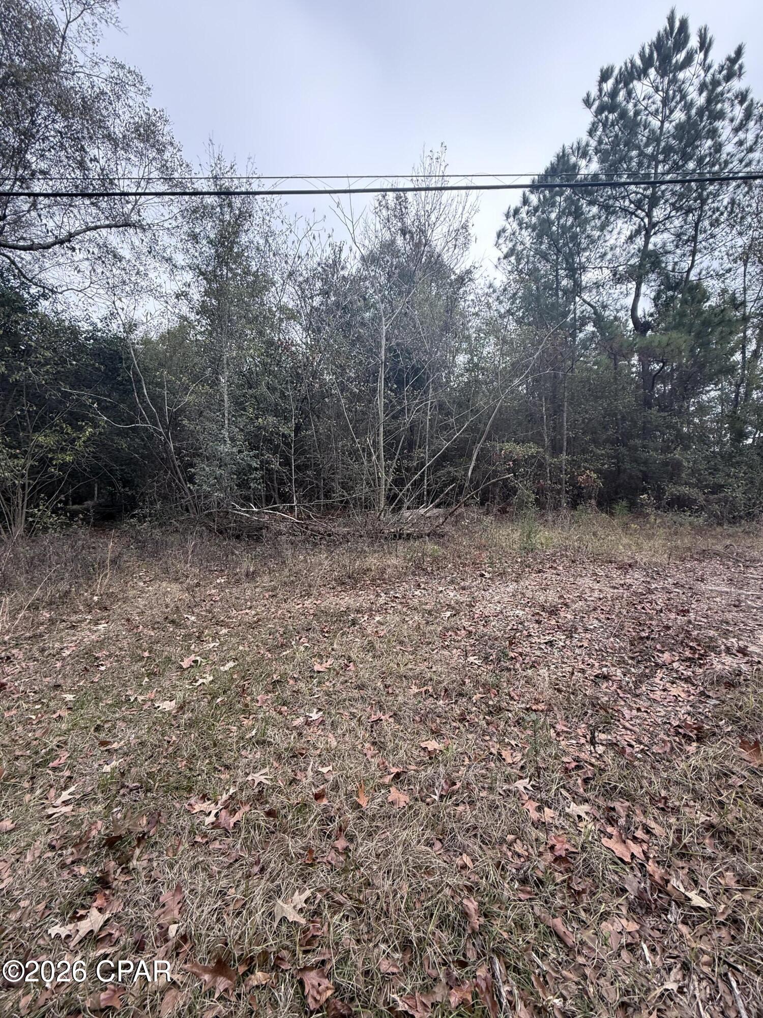 Details for 0 Dairy Road, Sneads, FL 32460