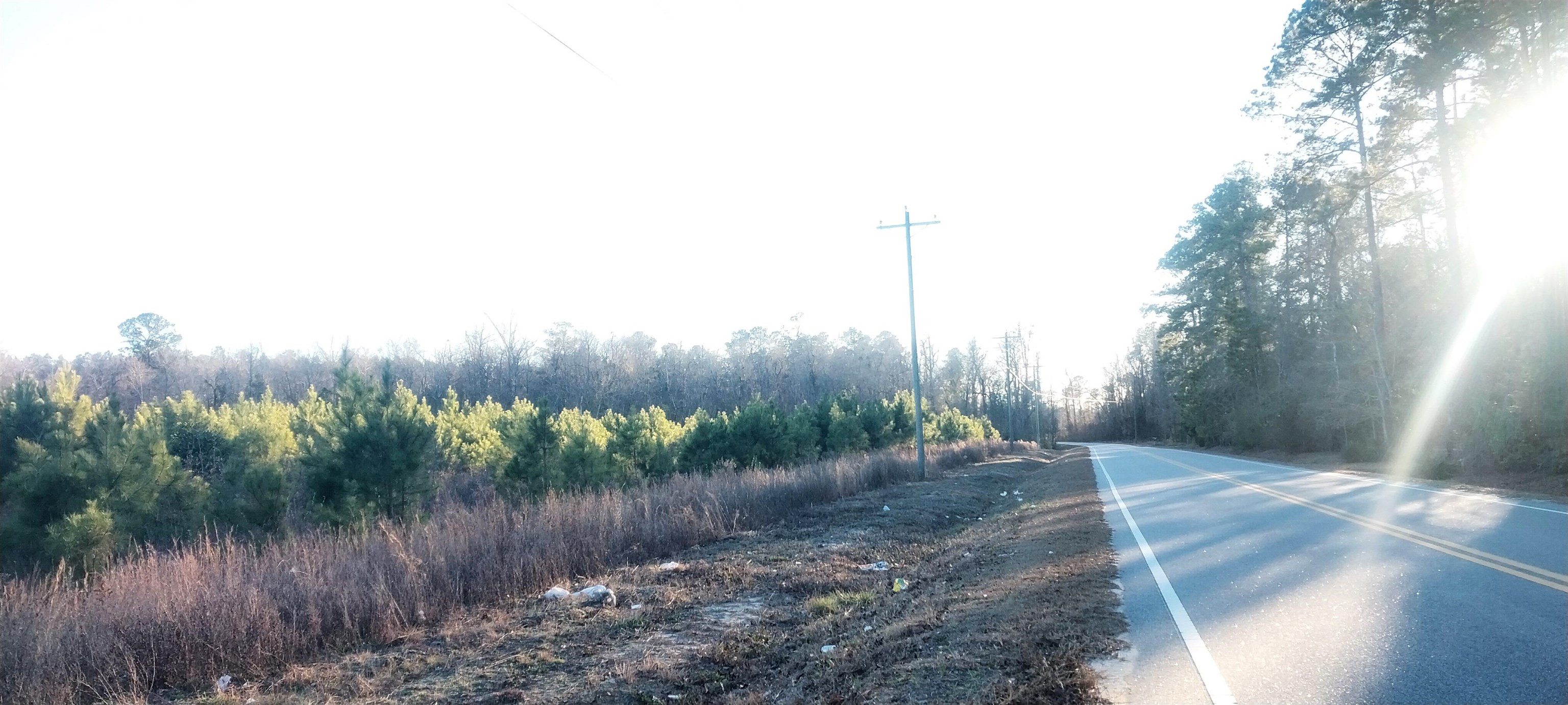 2601445 | Photo 2