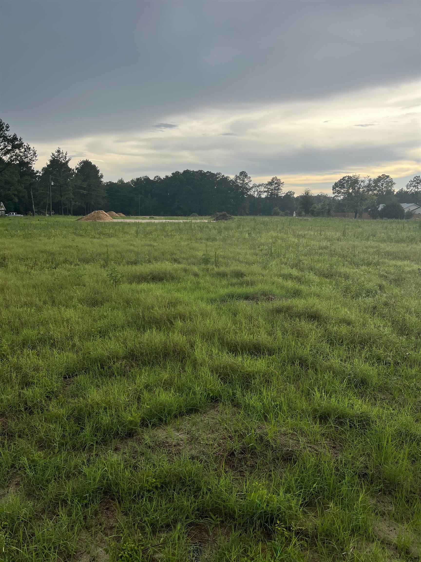 Homes for sale in Latta, SC | Tbd Lexyryan Ct, Latta, SC 29565 | MLS# 2601456