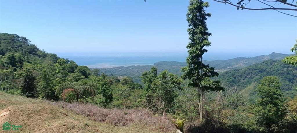 0 bed Land For Sale in Osa, Puntarenas - 1